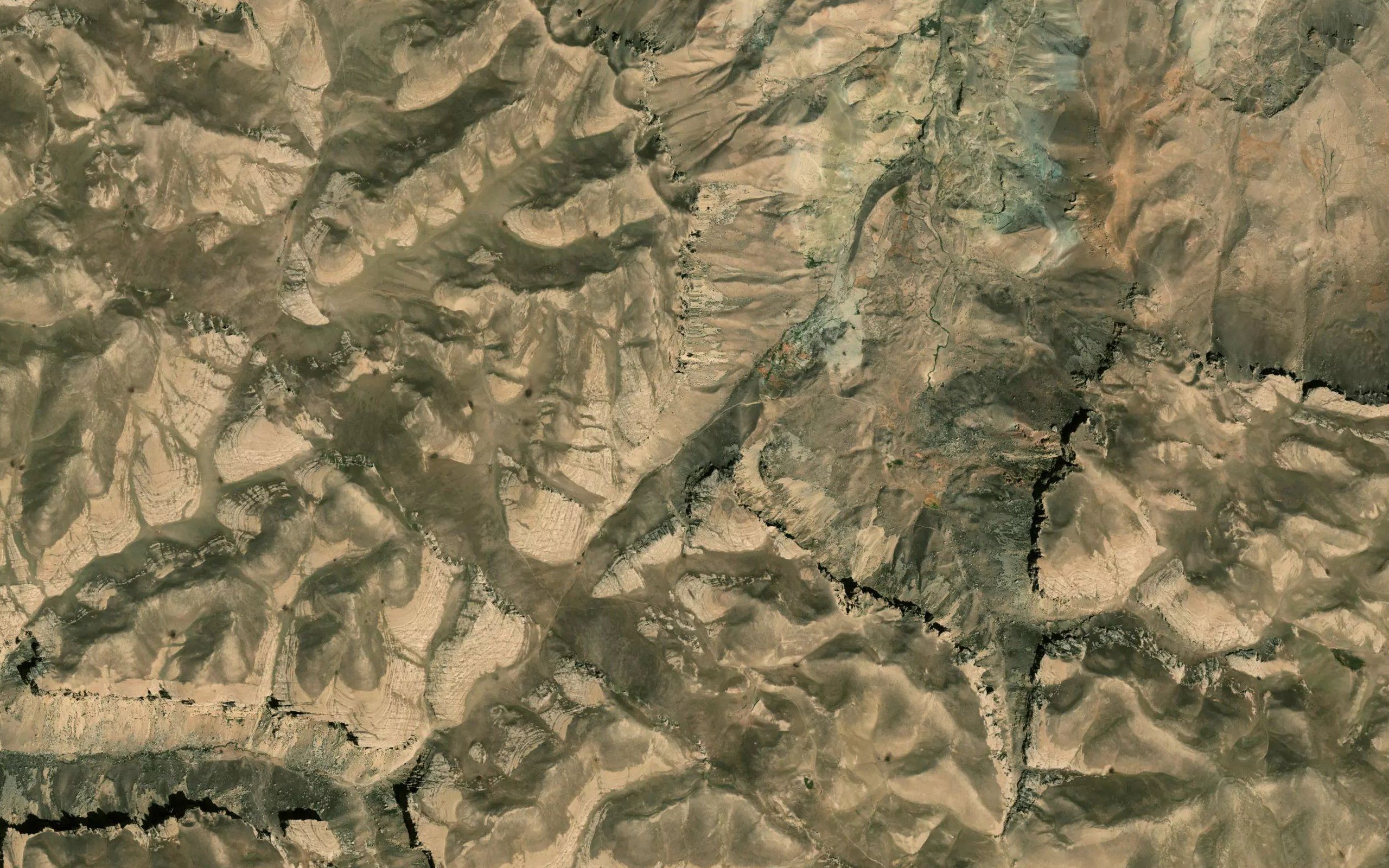 Surkhguli