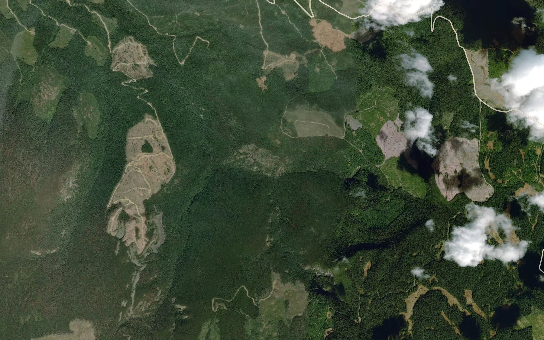 Satellite map of the Home Creek