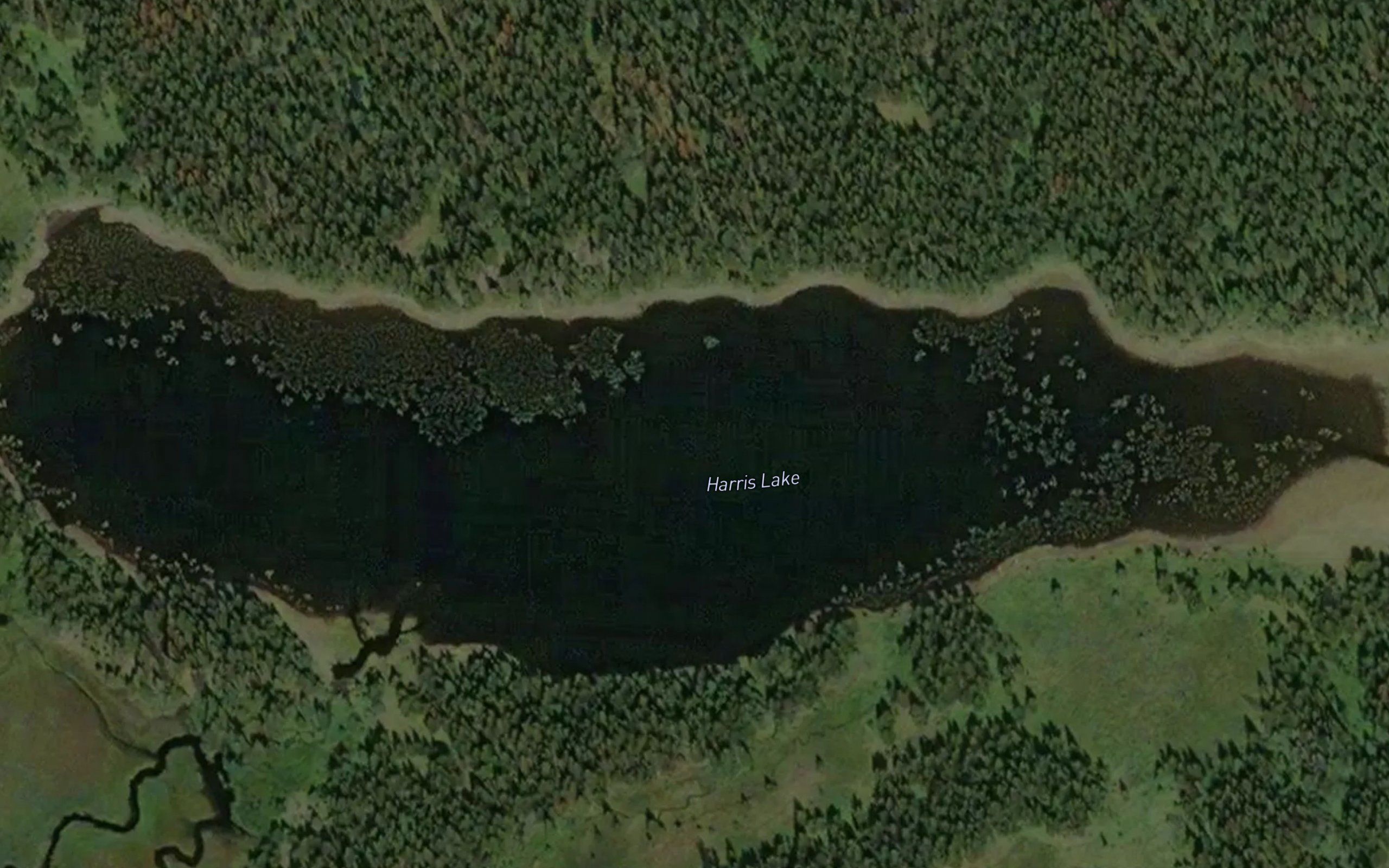 Harris Lake