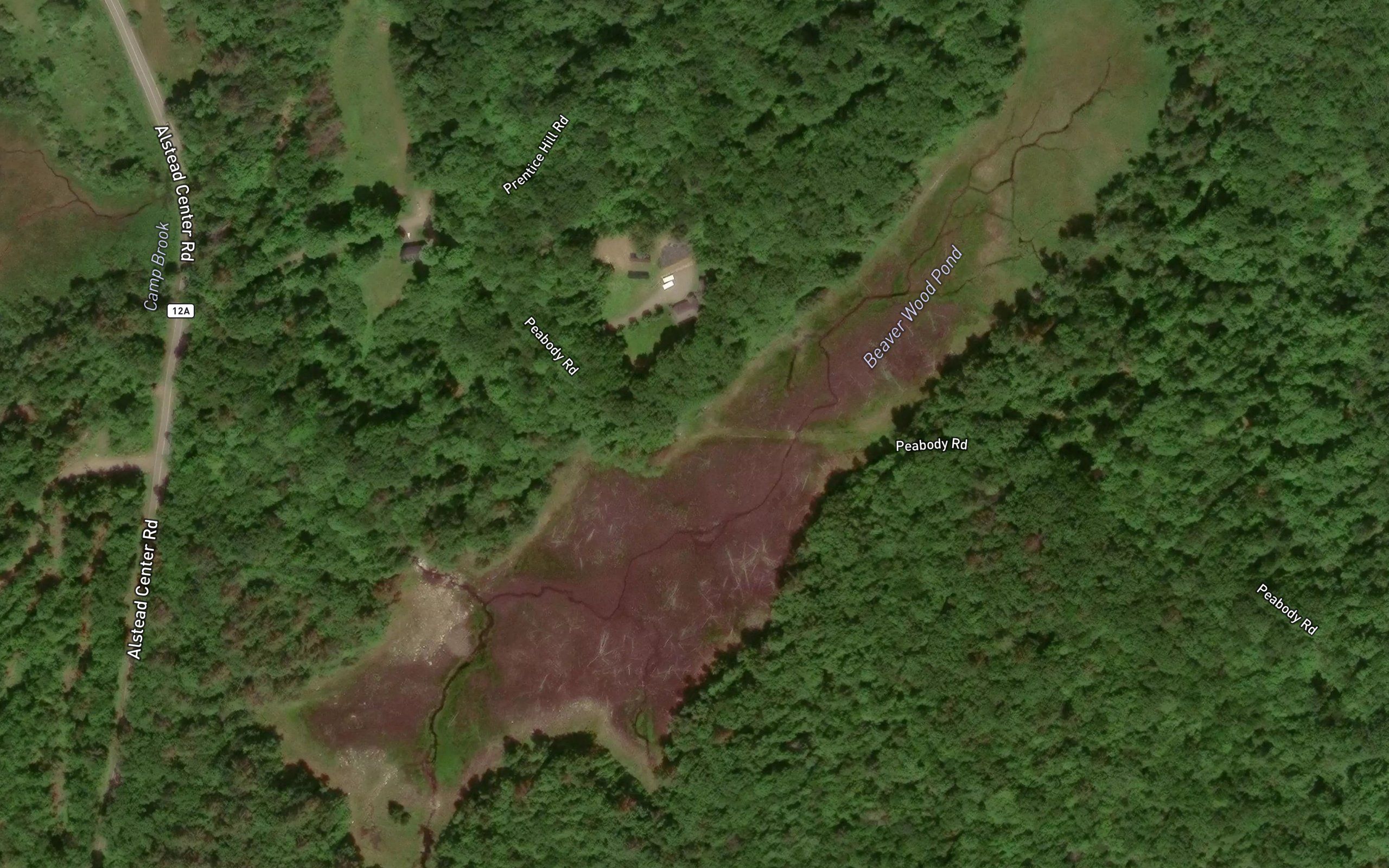 Beaver Wood Pond