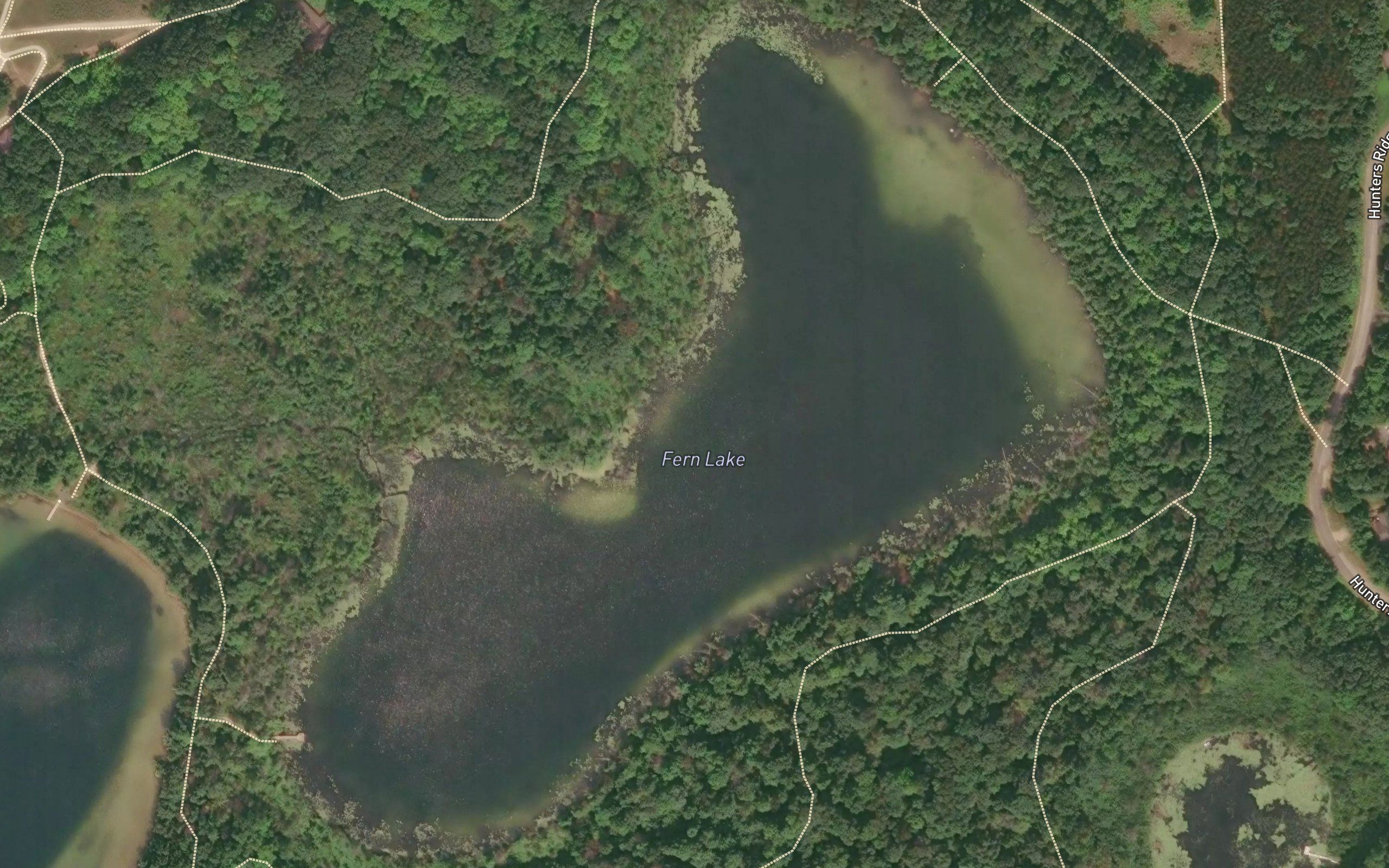 Fern Lake