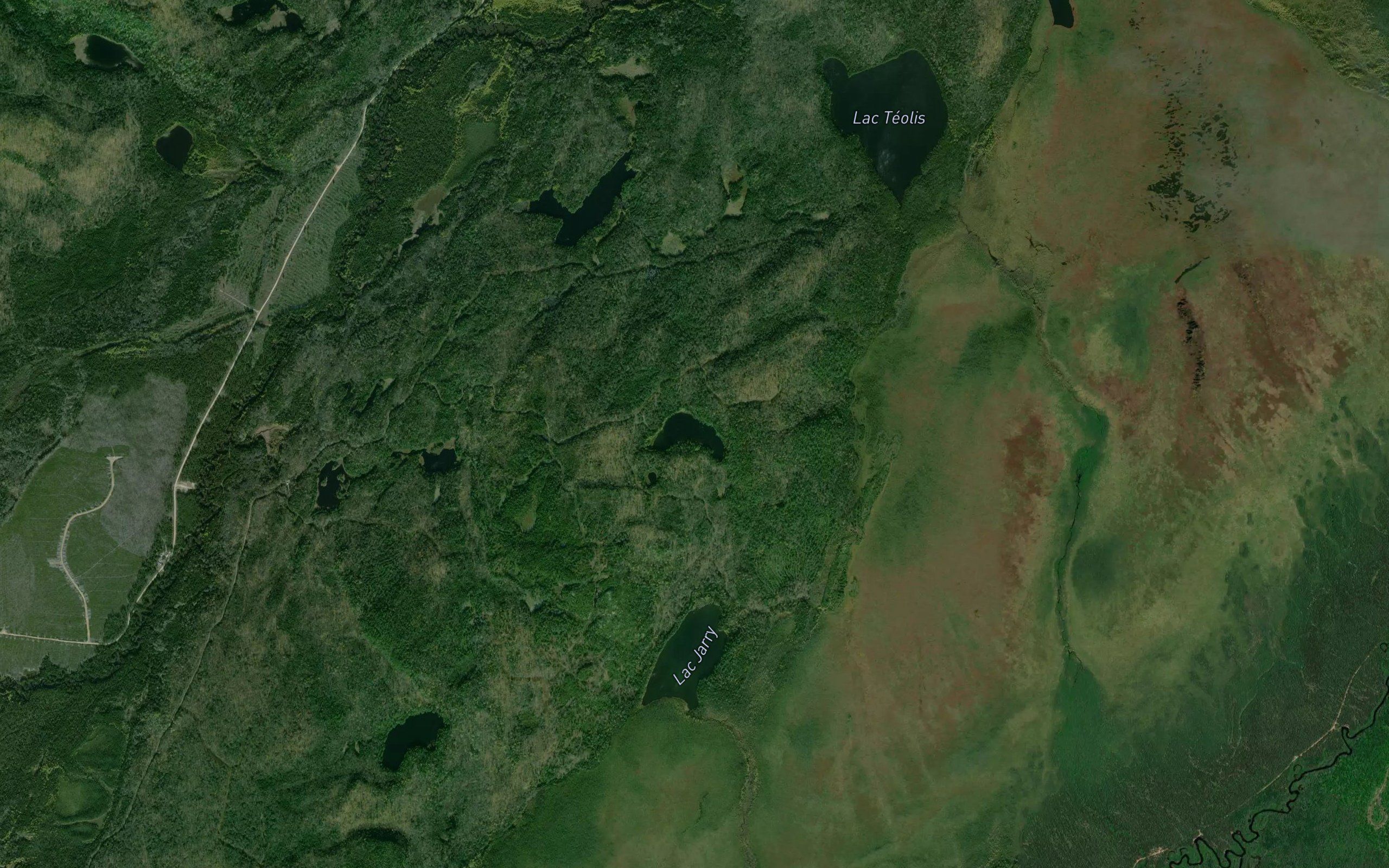 Lac Pitchout
