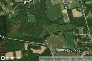 Little Palmetto Swamp