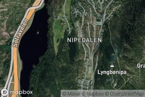 Skitnetjorna