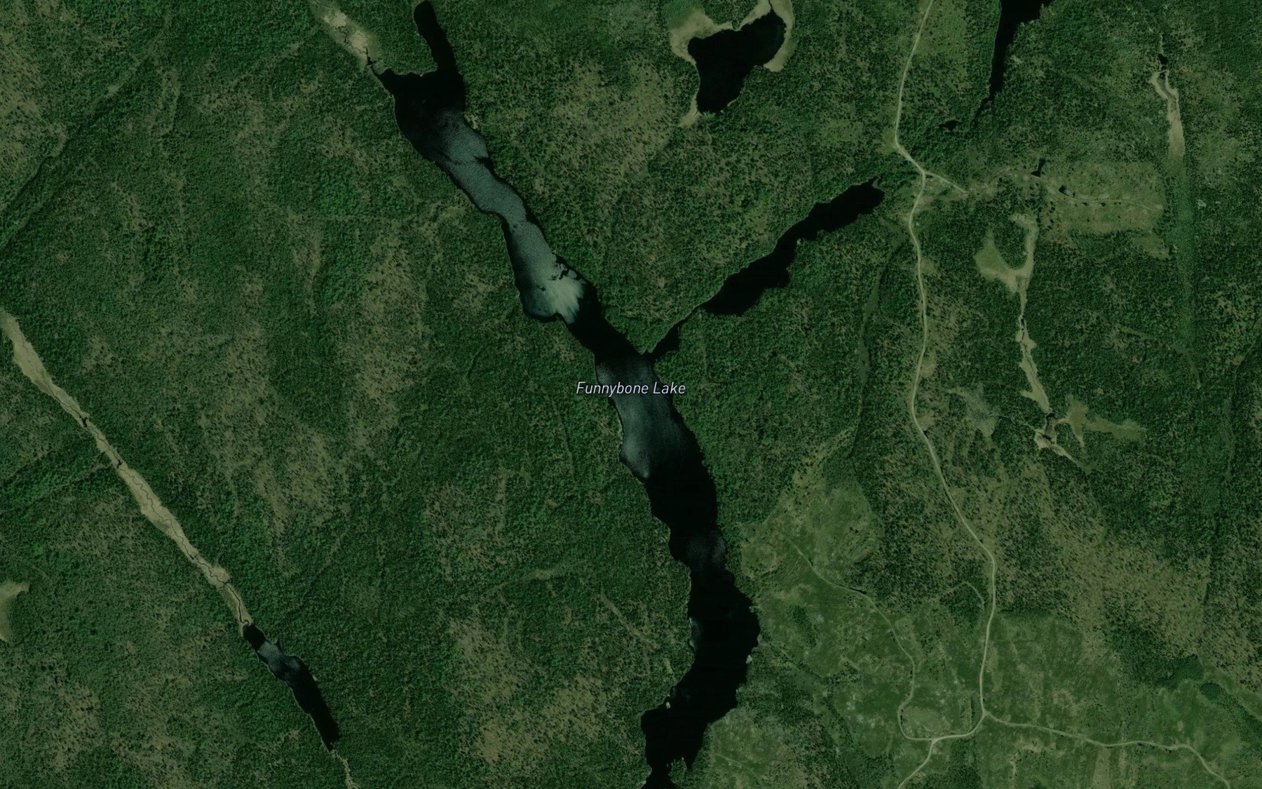 Satellite map of the Funnybone Lake