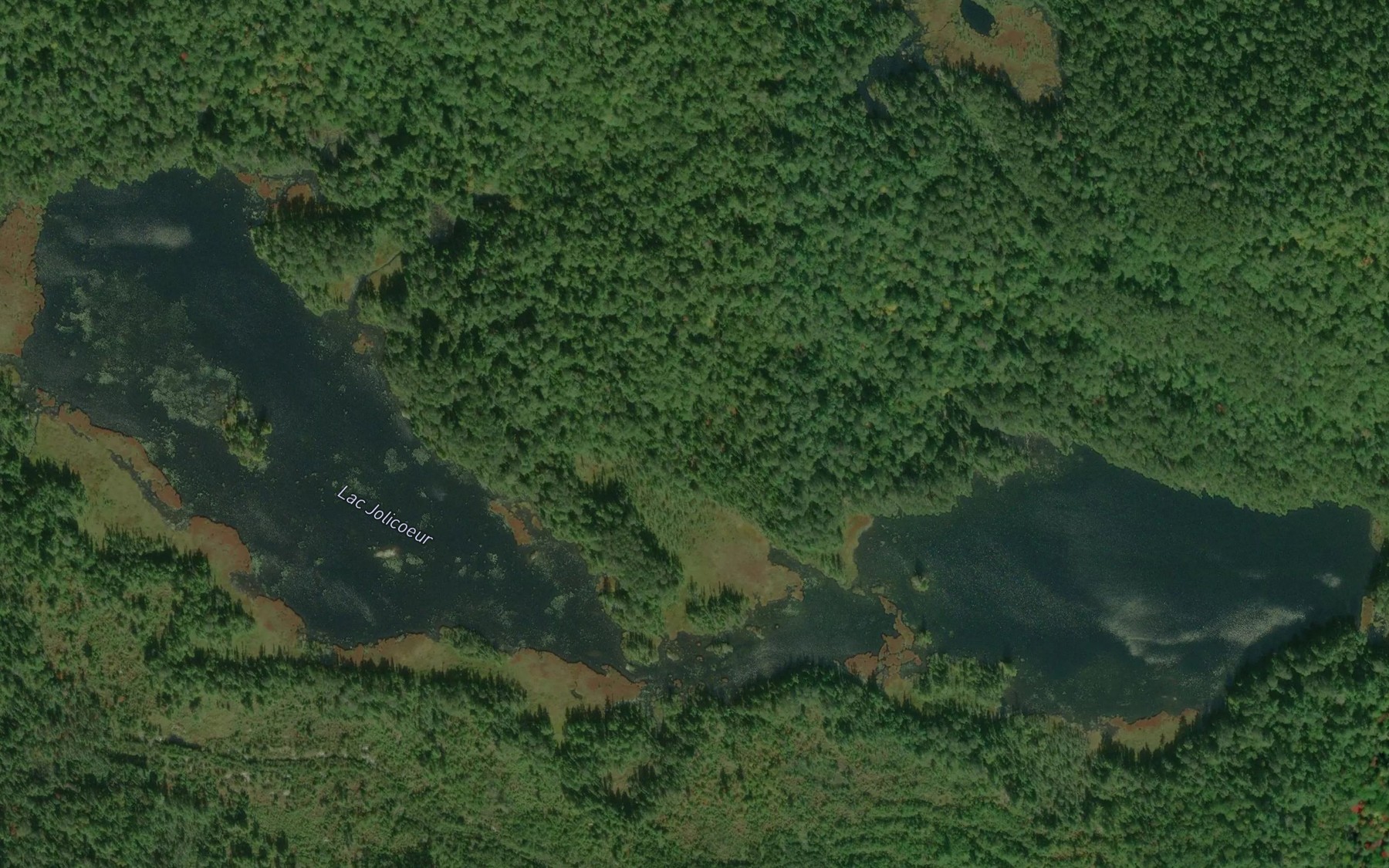 Satellite map of the Lac Jolicoeur