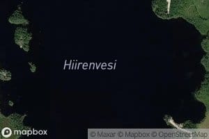 Hiirenvesi