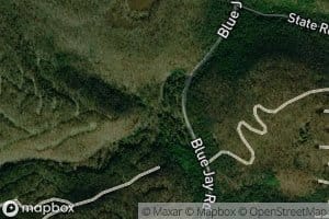 West Branch Bluejay Creek