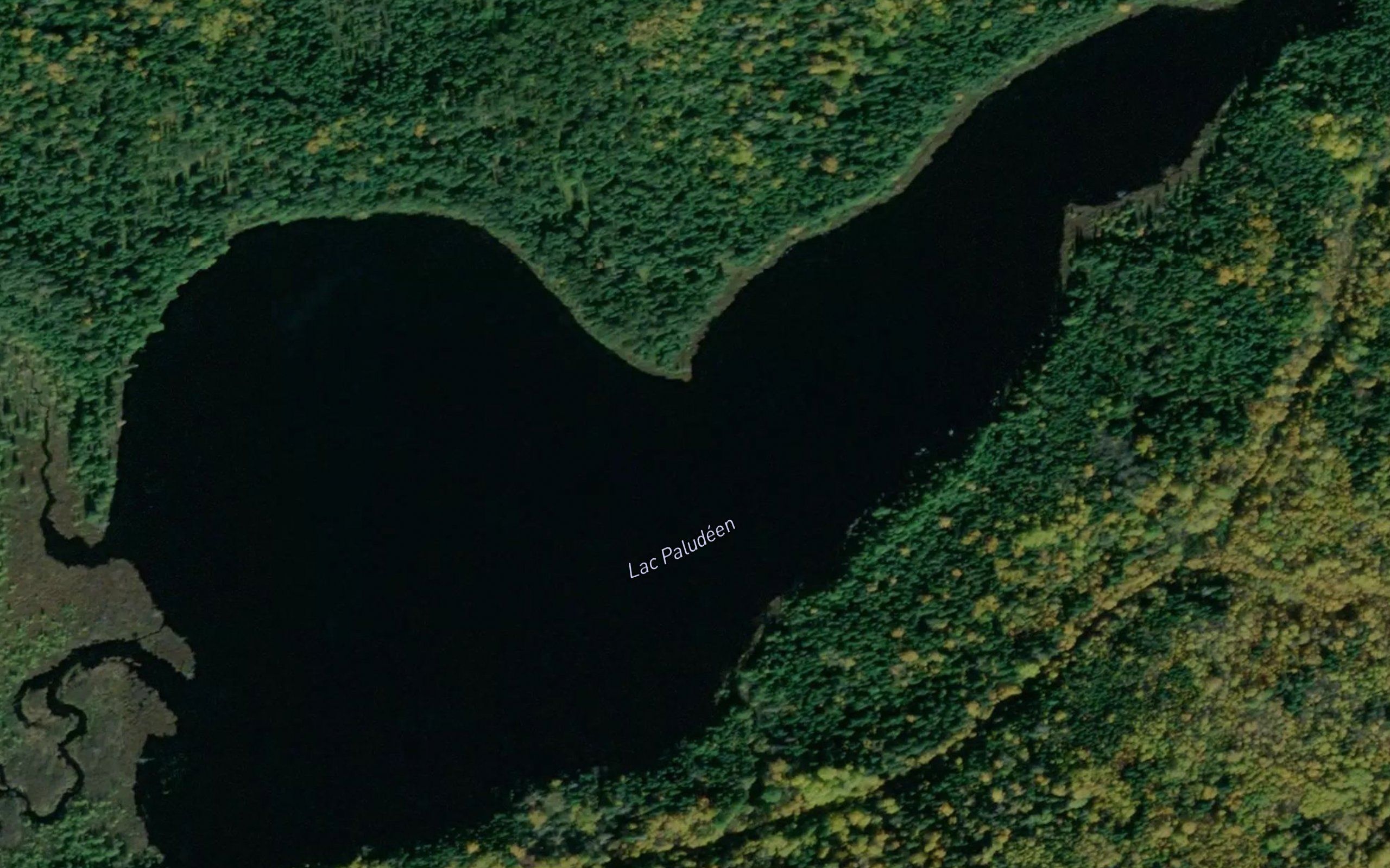 Lac Paludeen