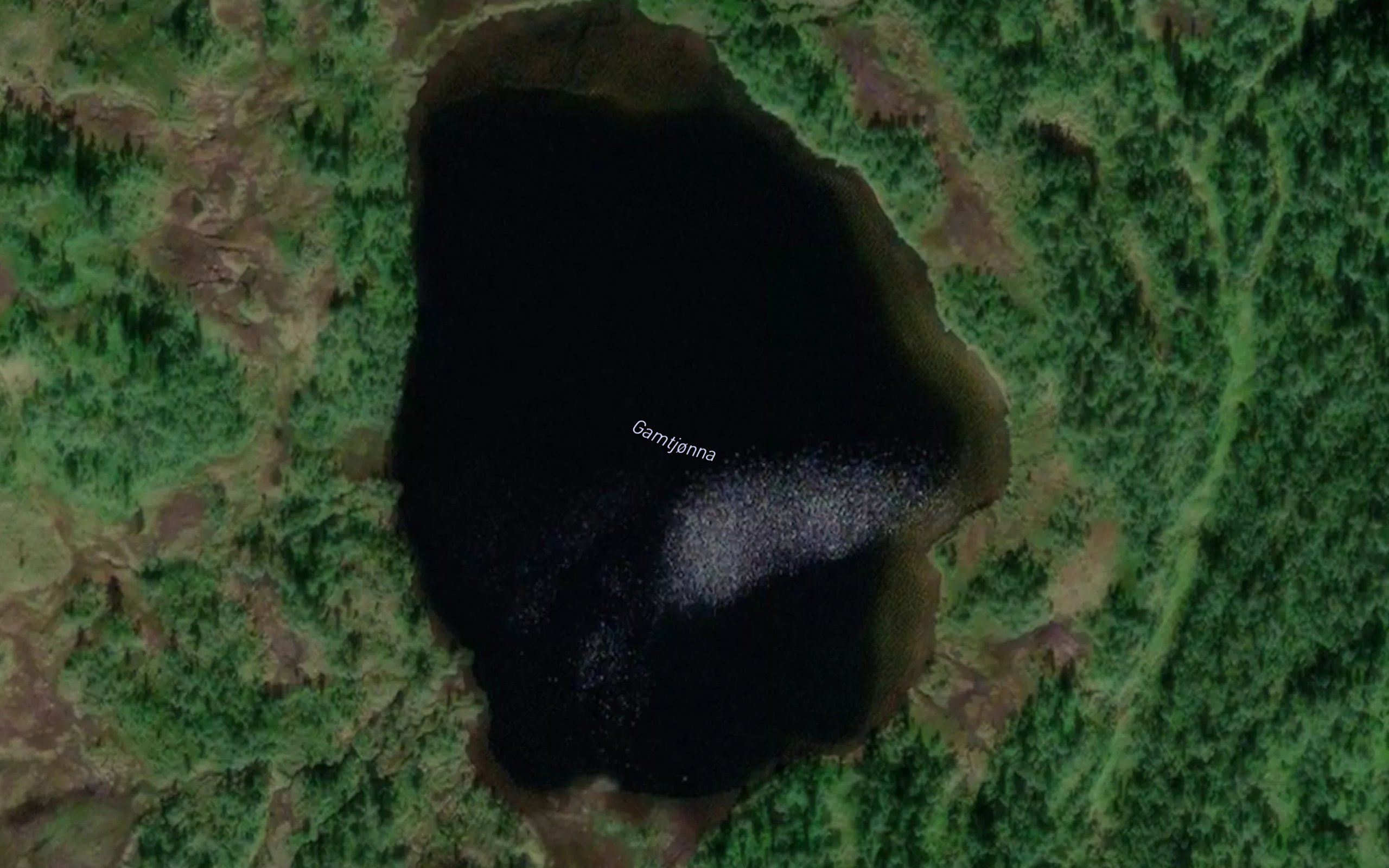 Gamtjorna