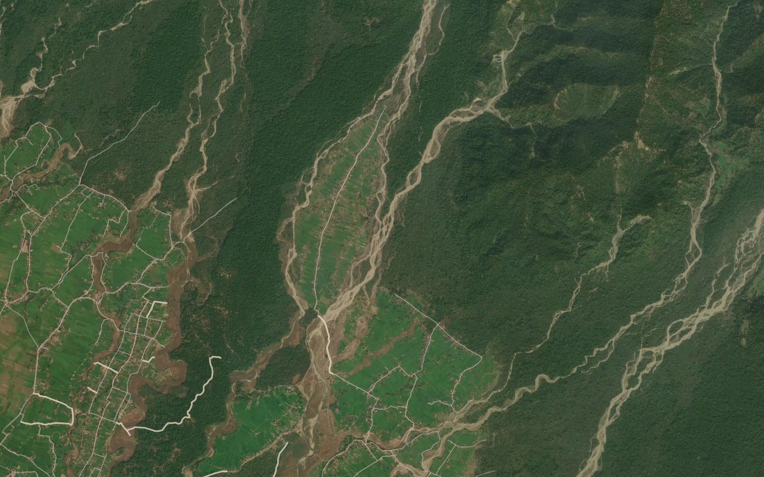 Bachela Gad