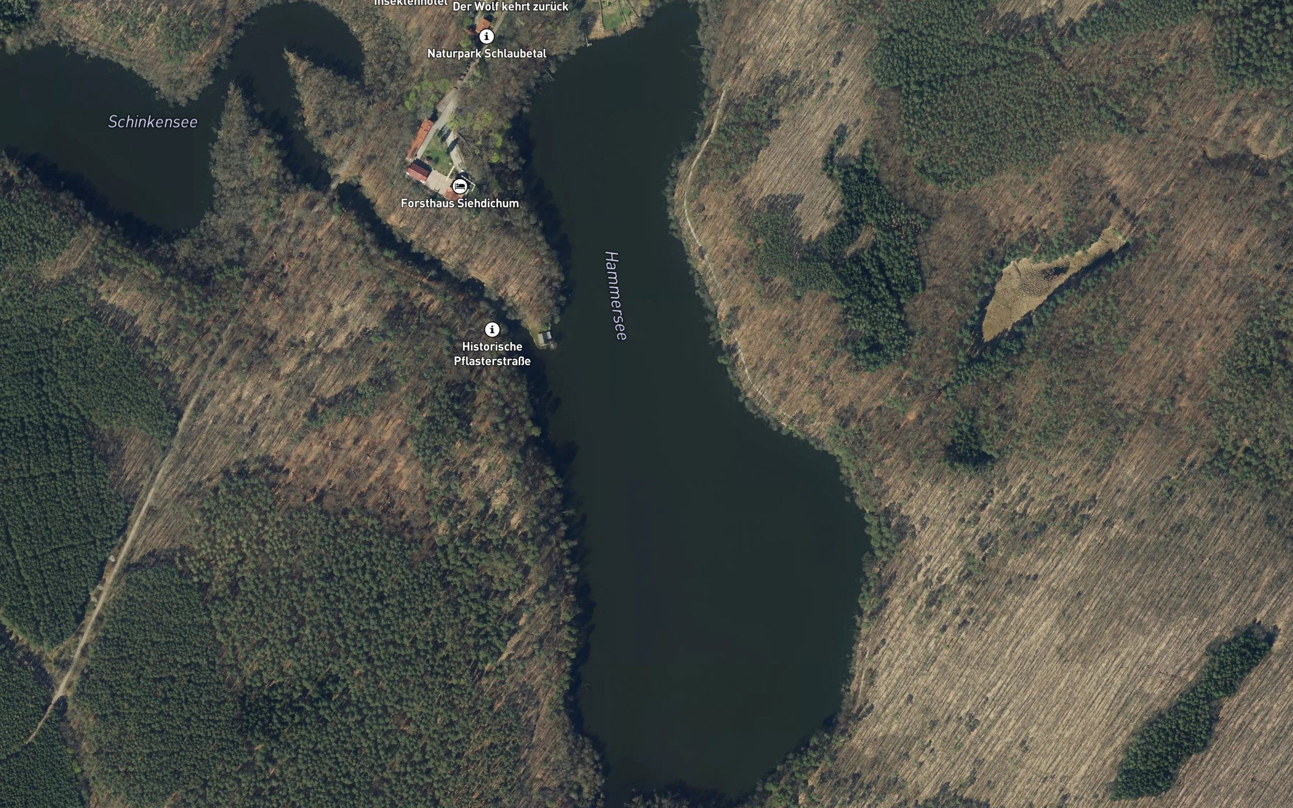 Hammersee