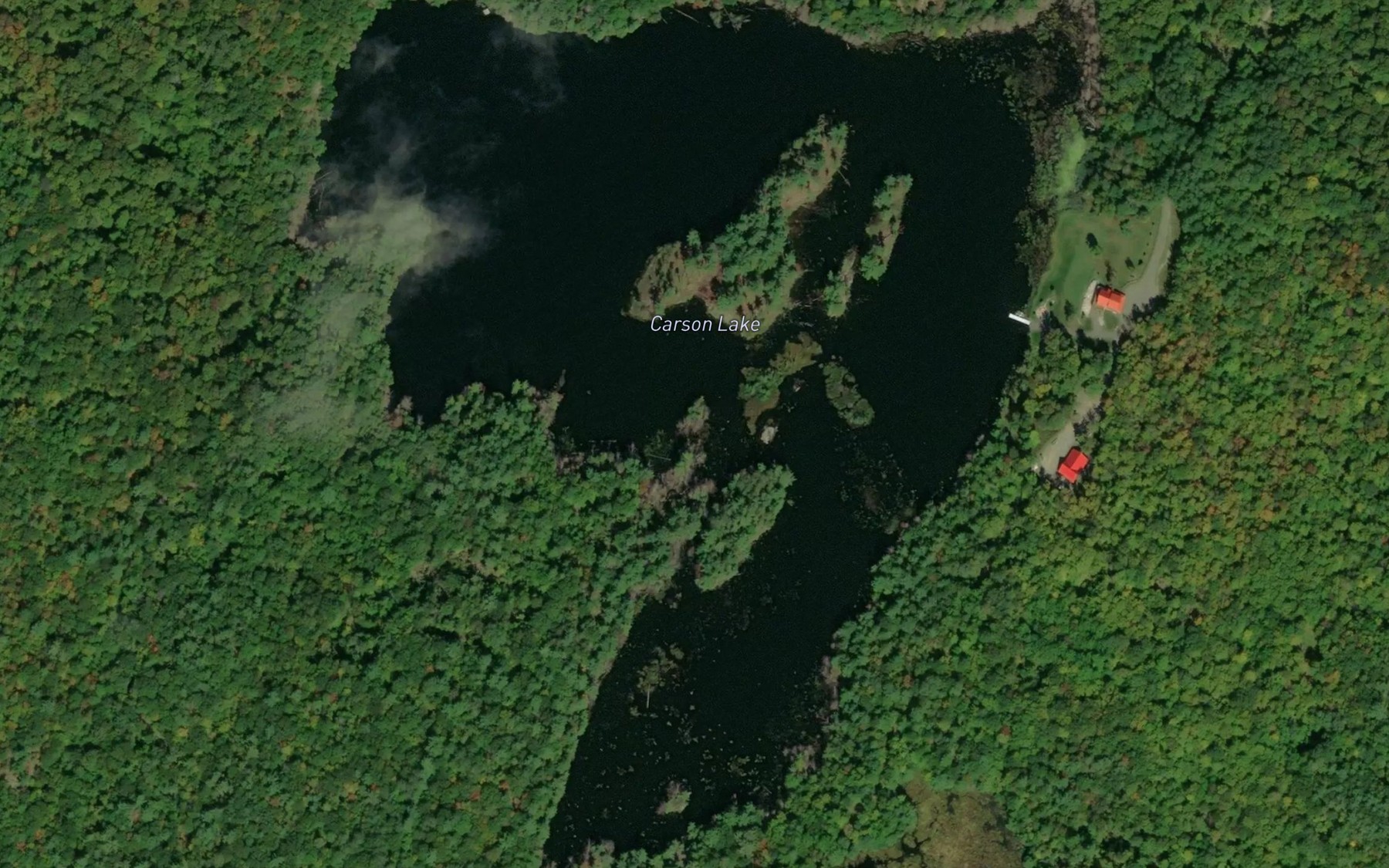 Satellite map of the Carson Lake
