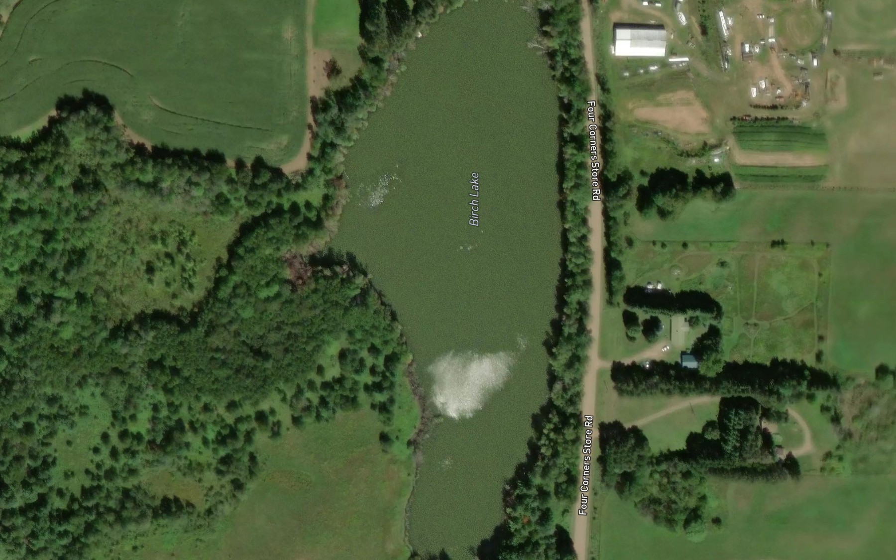 Satellite map of the Birch Lake