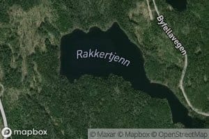 Rakkertjenn