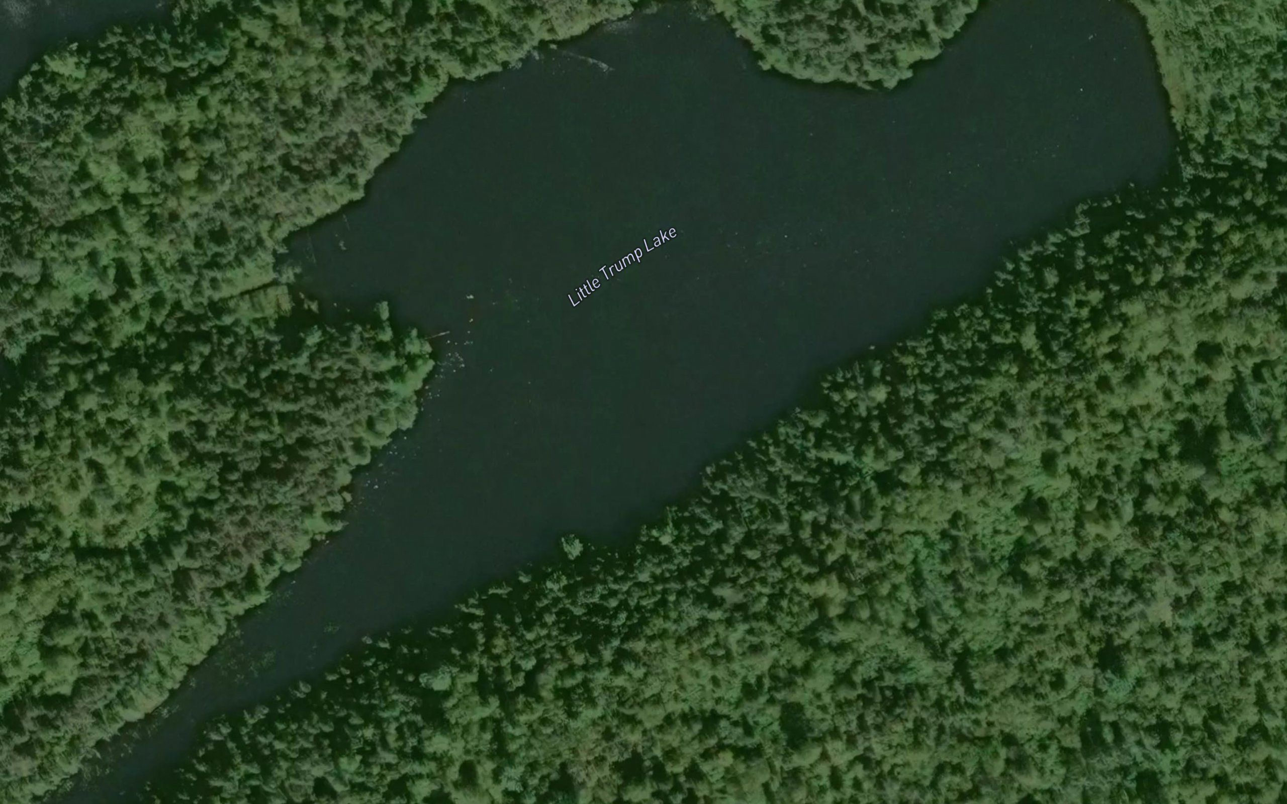 Little Trump Lake