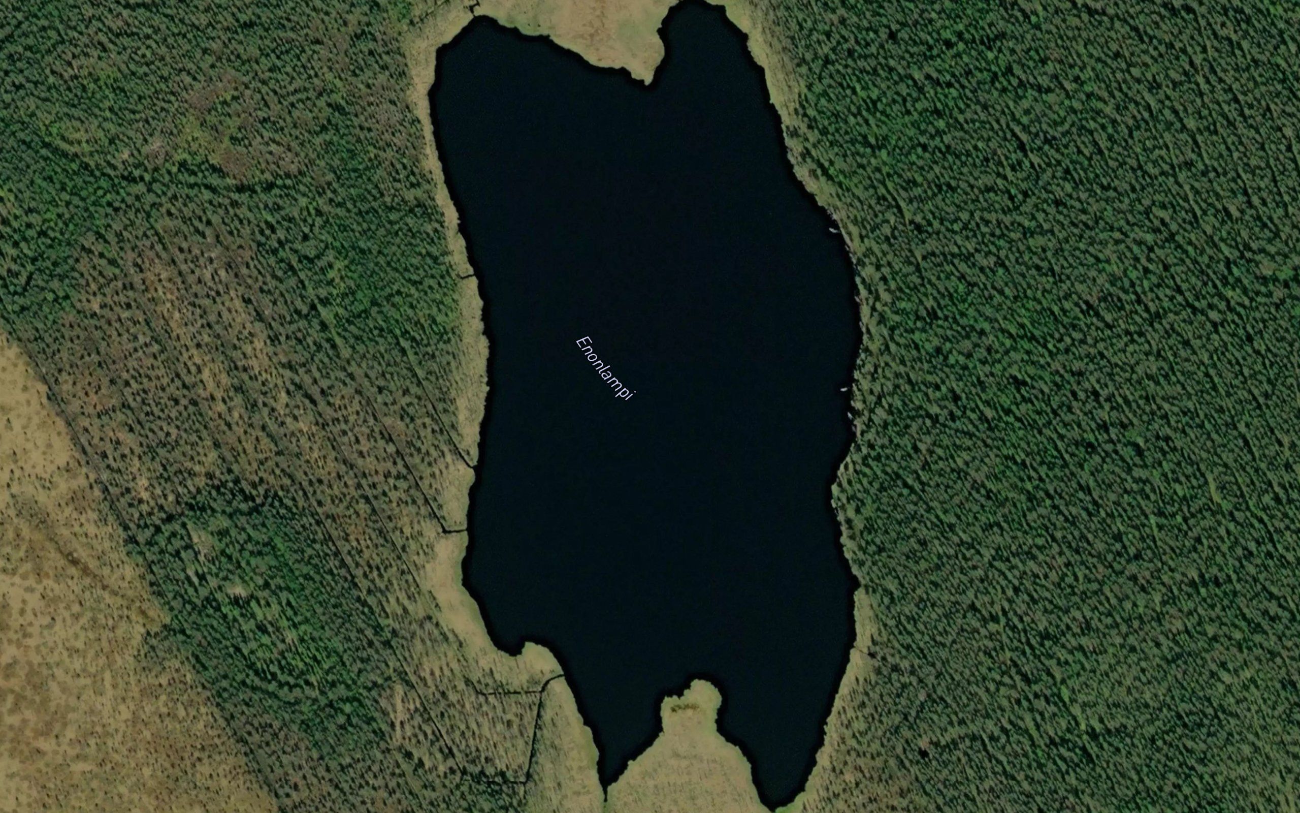 Enonlampi