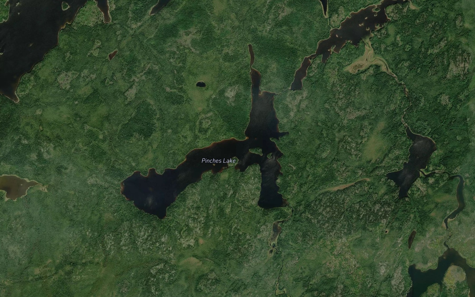 Satellite map of the Pinches Lake