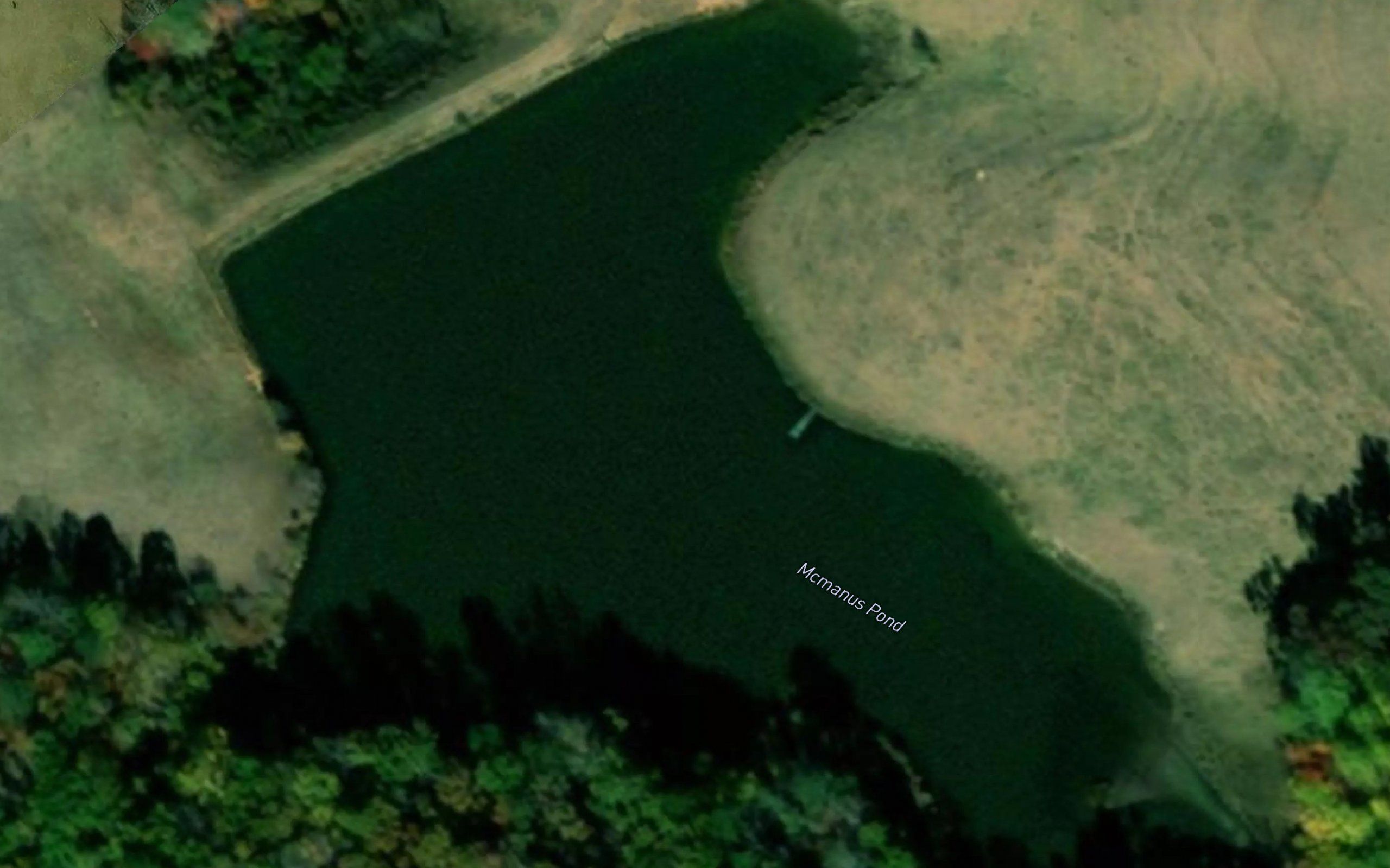 McManus Pond