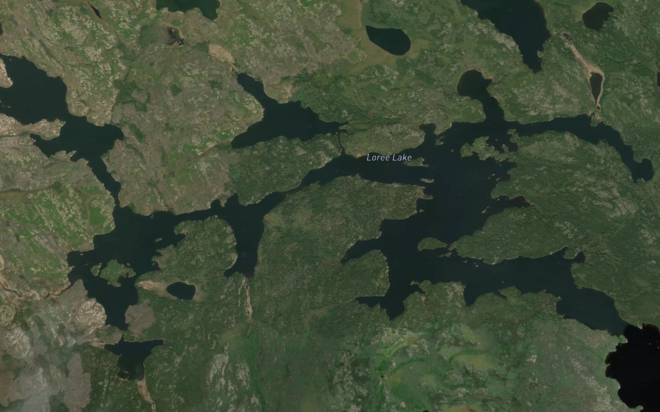 Loree Lake
