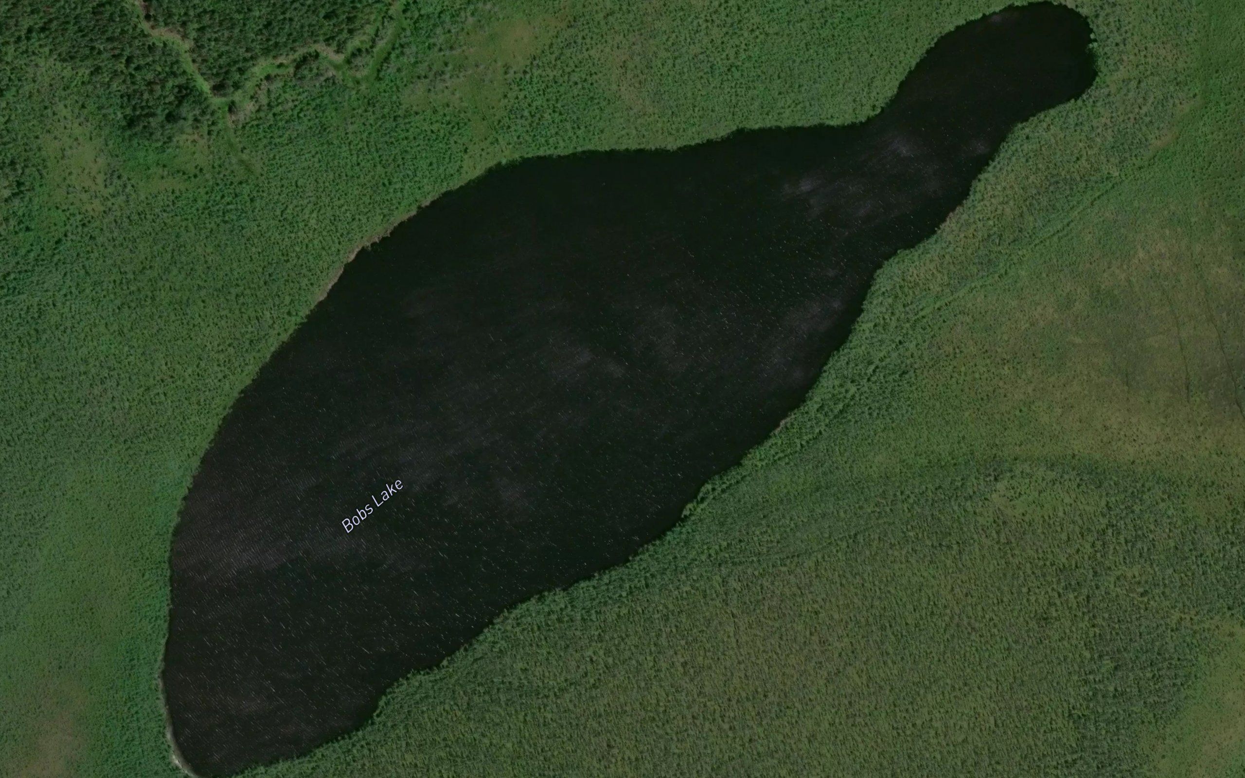 Bobs Lake