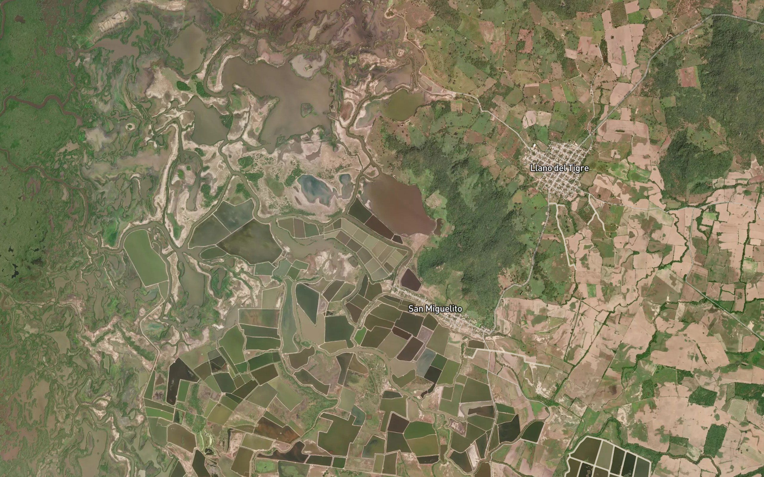 Estero Los Pericos