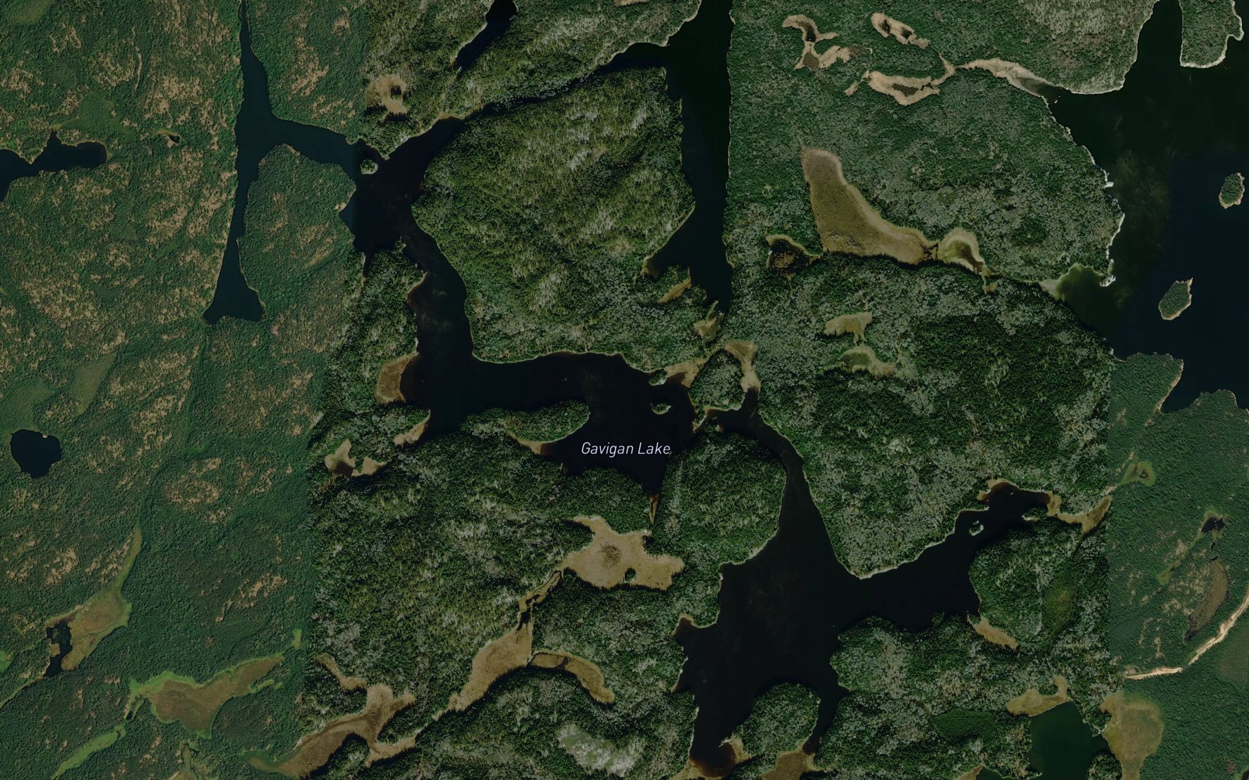 Satellite map of the Gavigan Lake