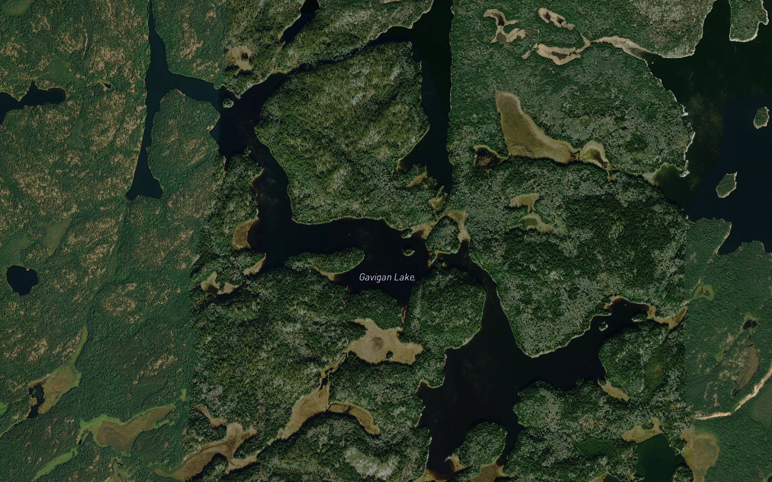 Gavigan Lake