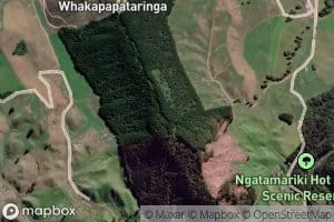 Ngatamariki Hot Spring