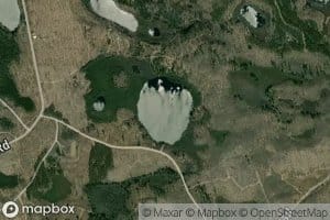 Timber Lake