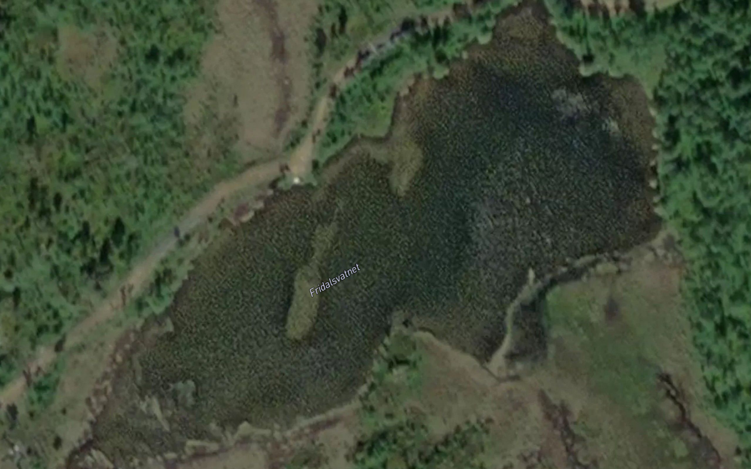 Fridalsvatnet