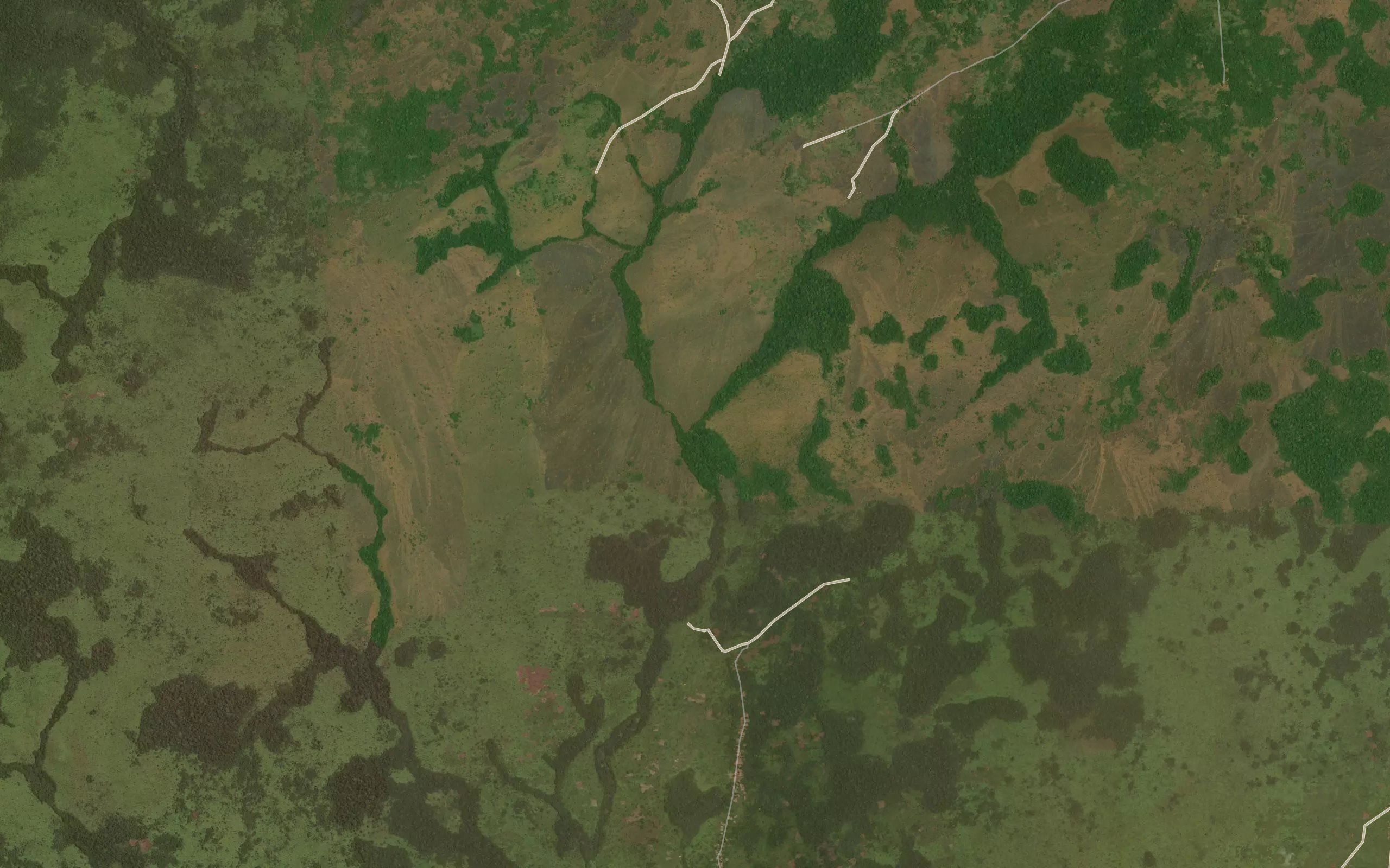 Ngwaka