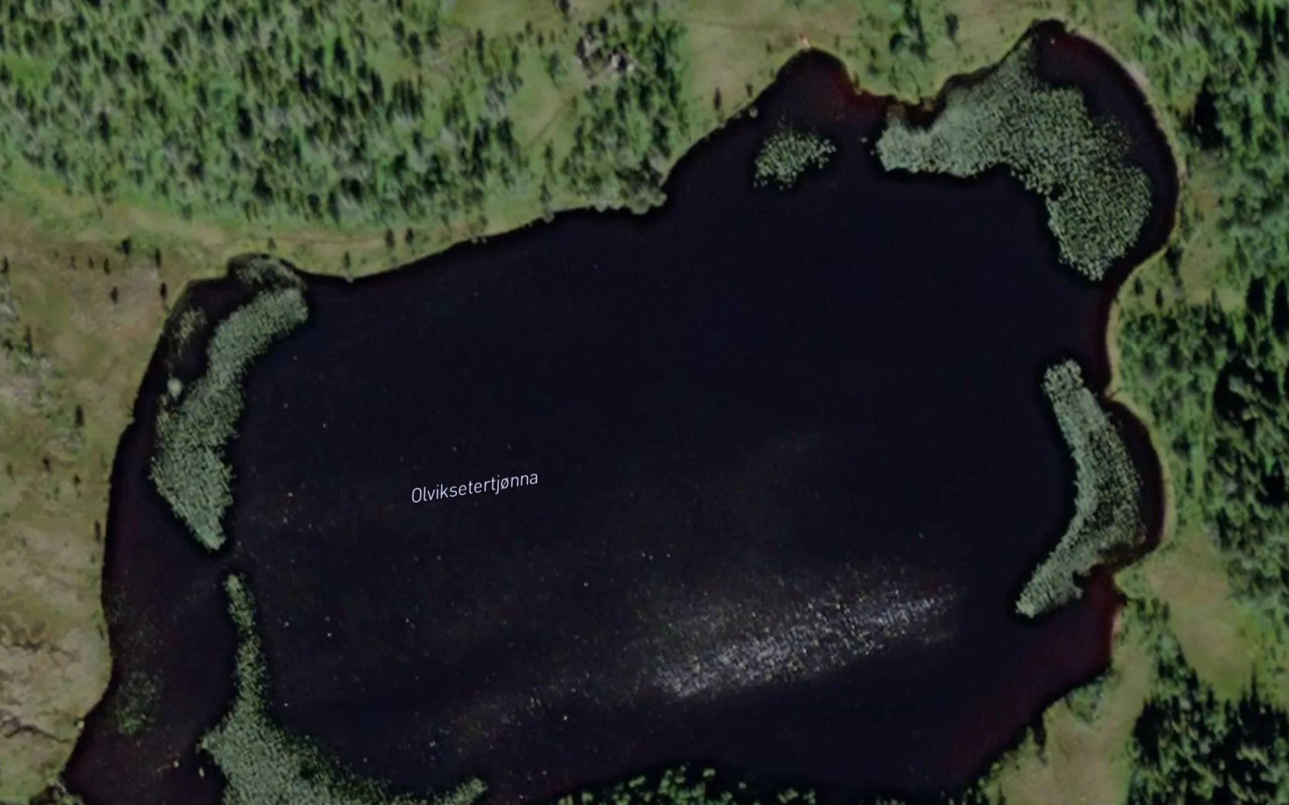 Olviksaetertjorna