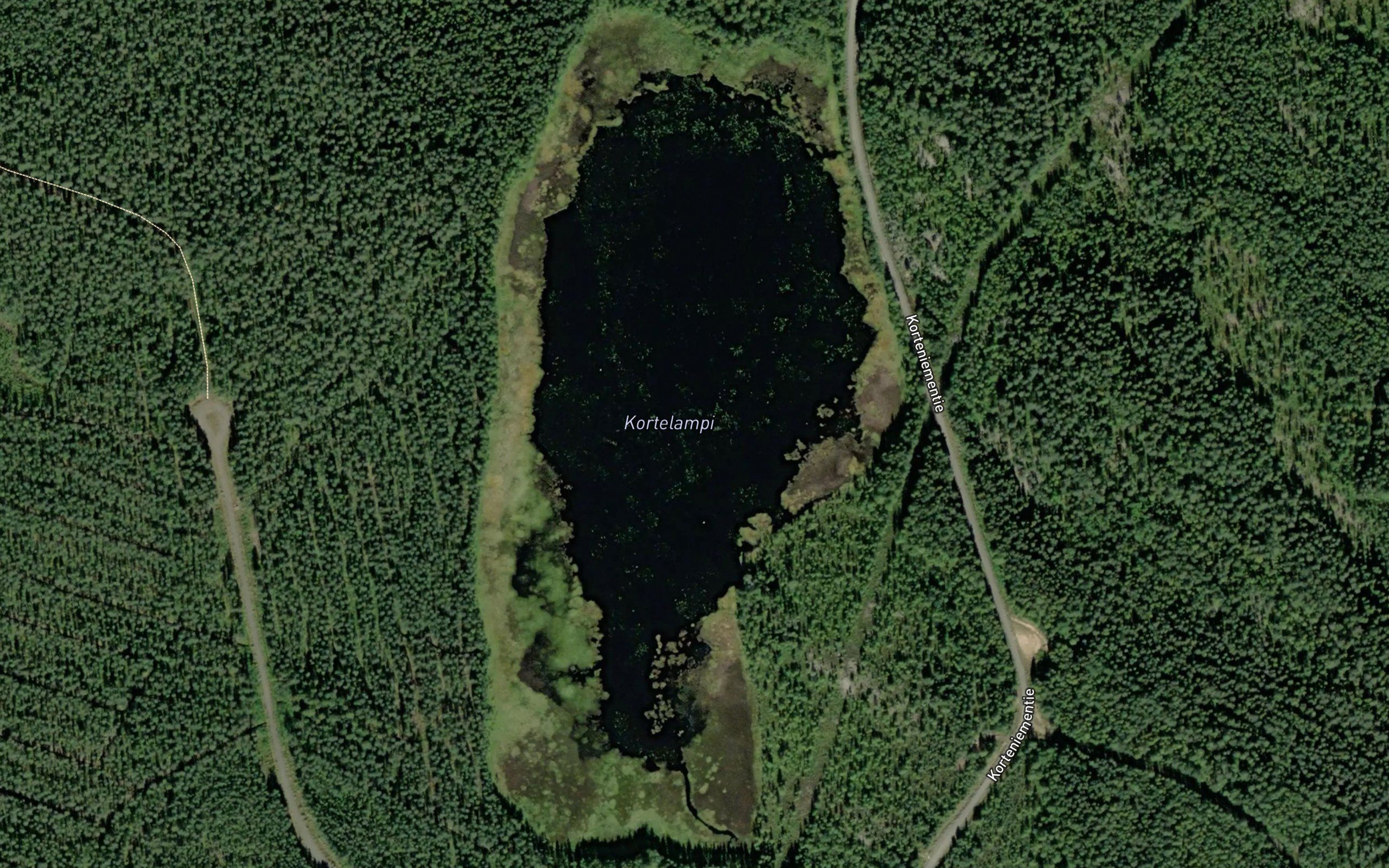 Kortelampi