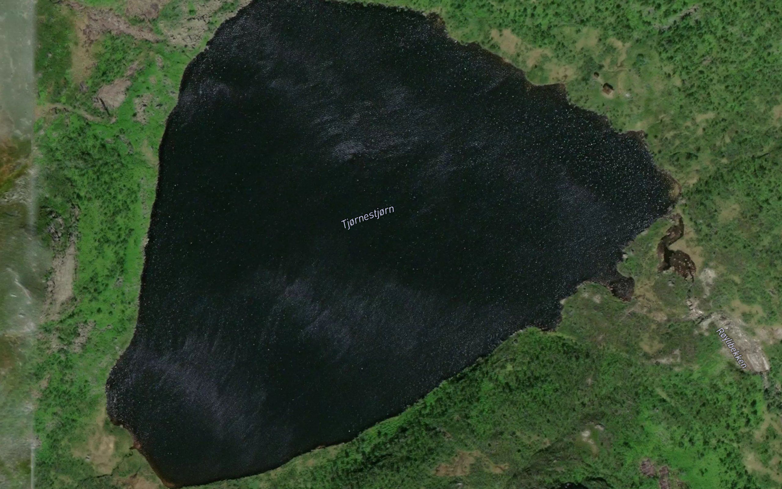 Kjonestjorn