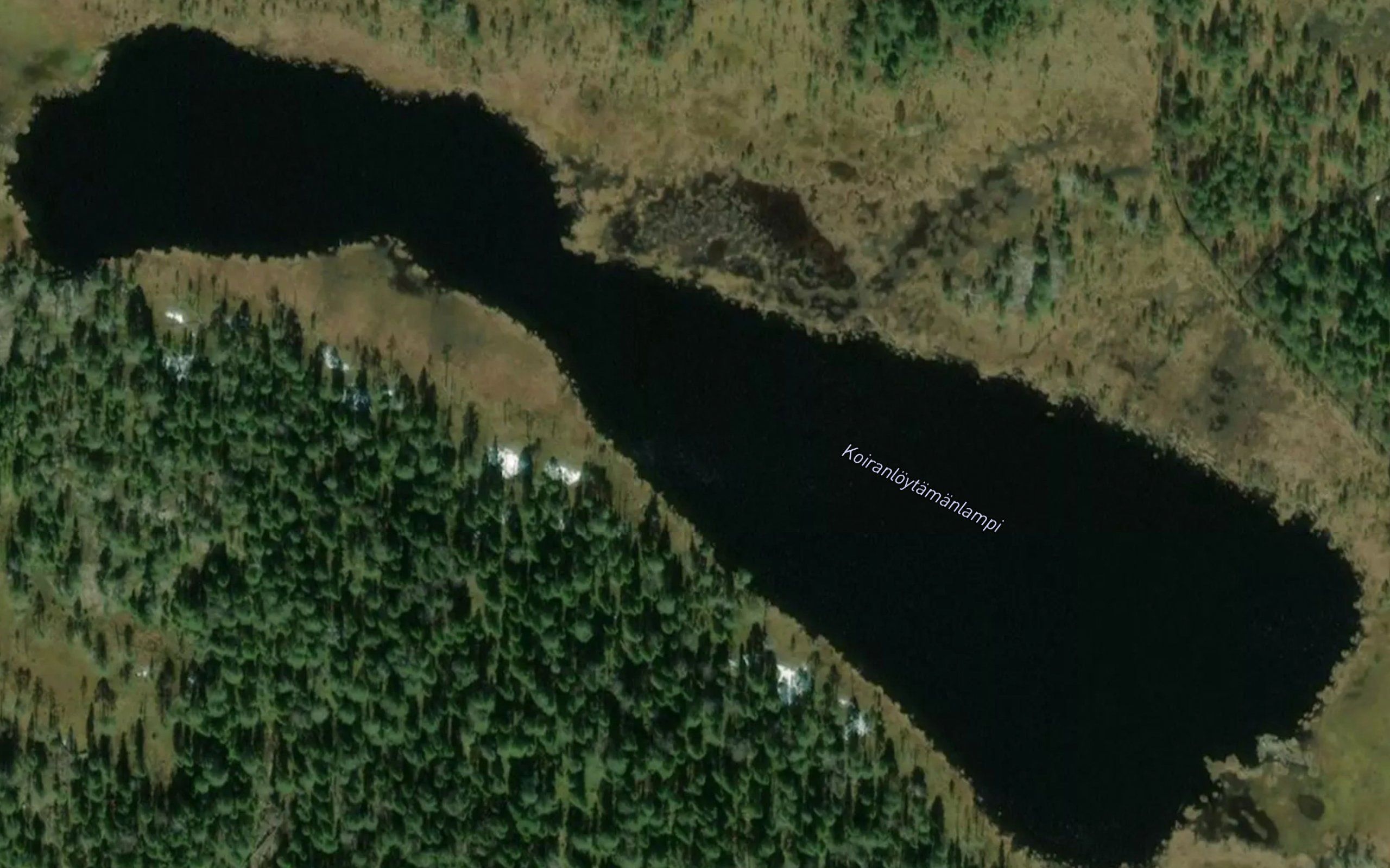 Koiranloytamanlampi