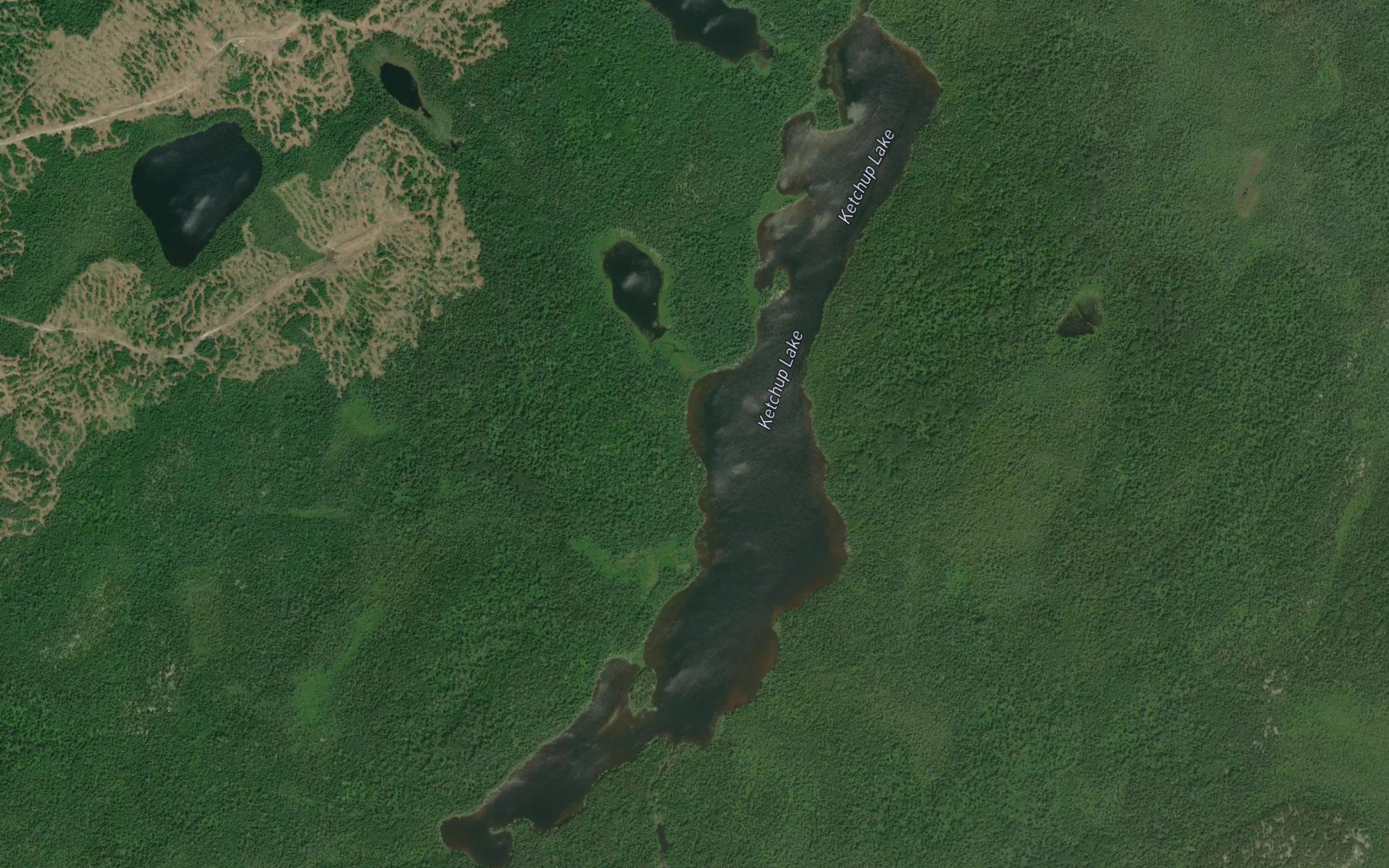 Ketchup Lake