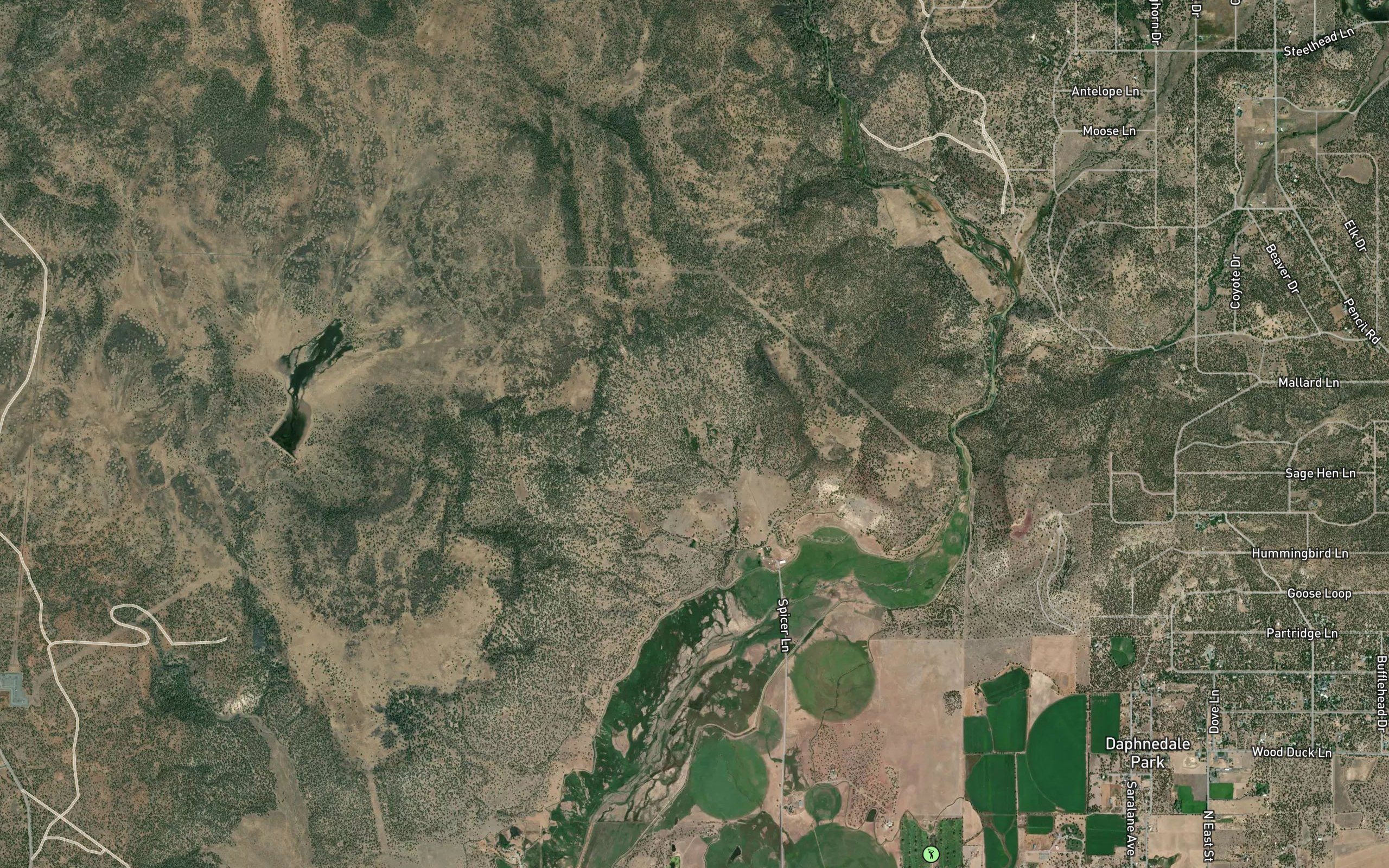 Hillside Springs
