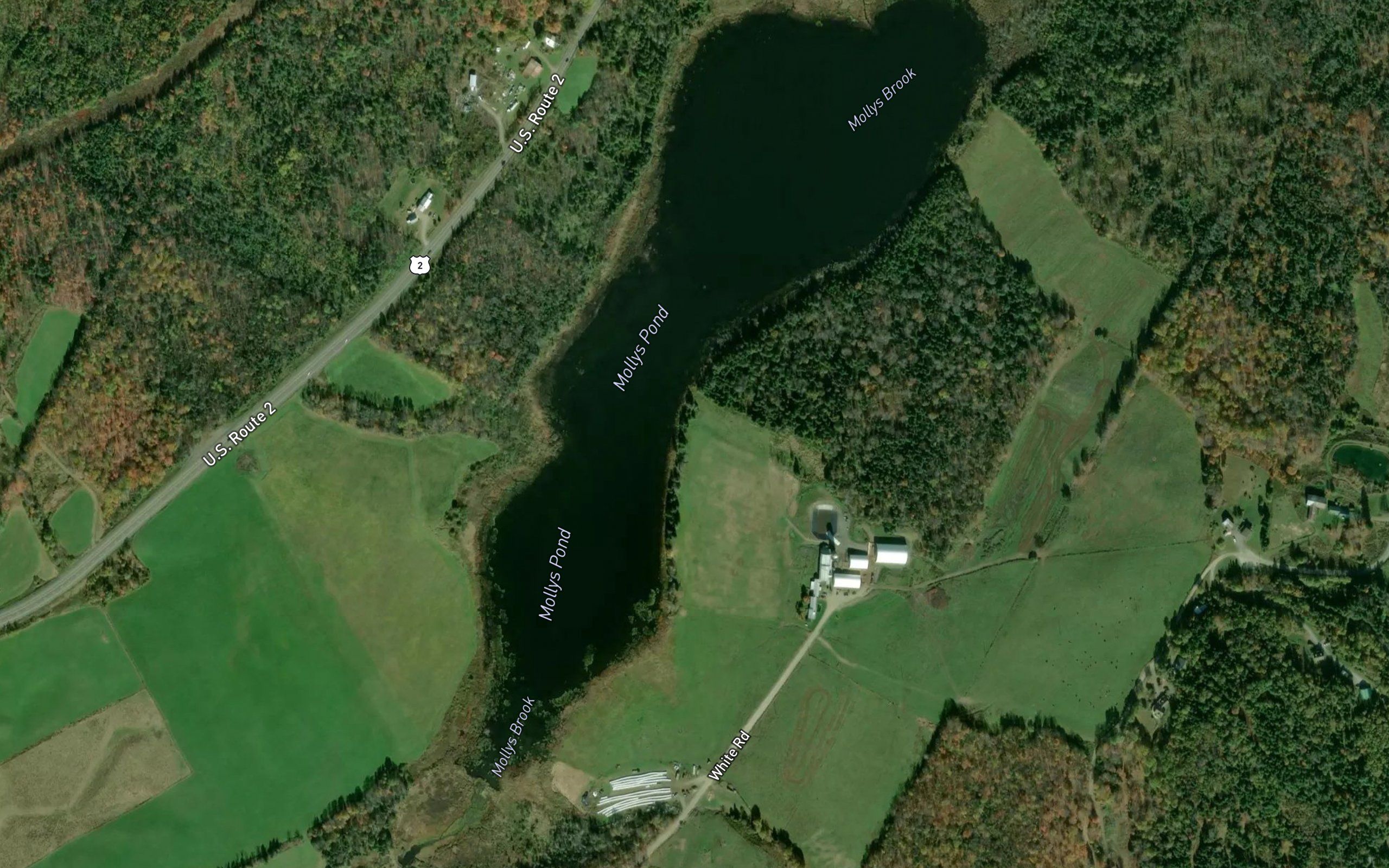 Mollys Pond
