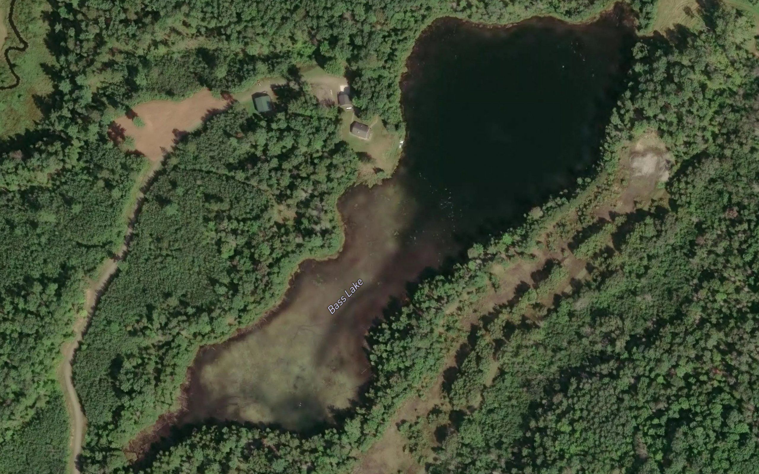 Bass Lake