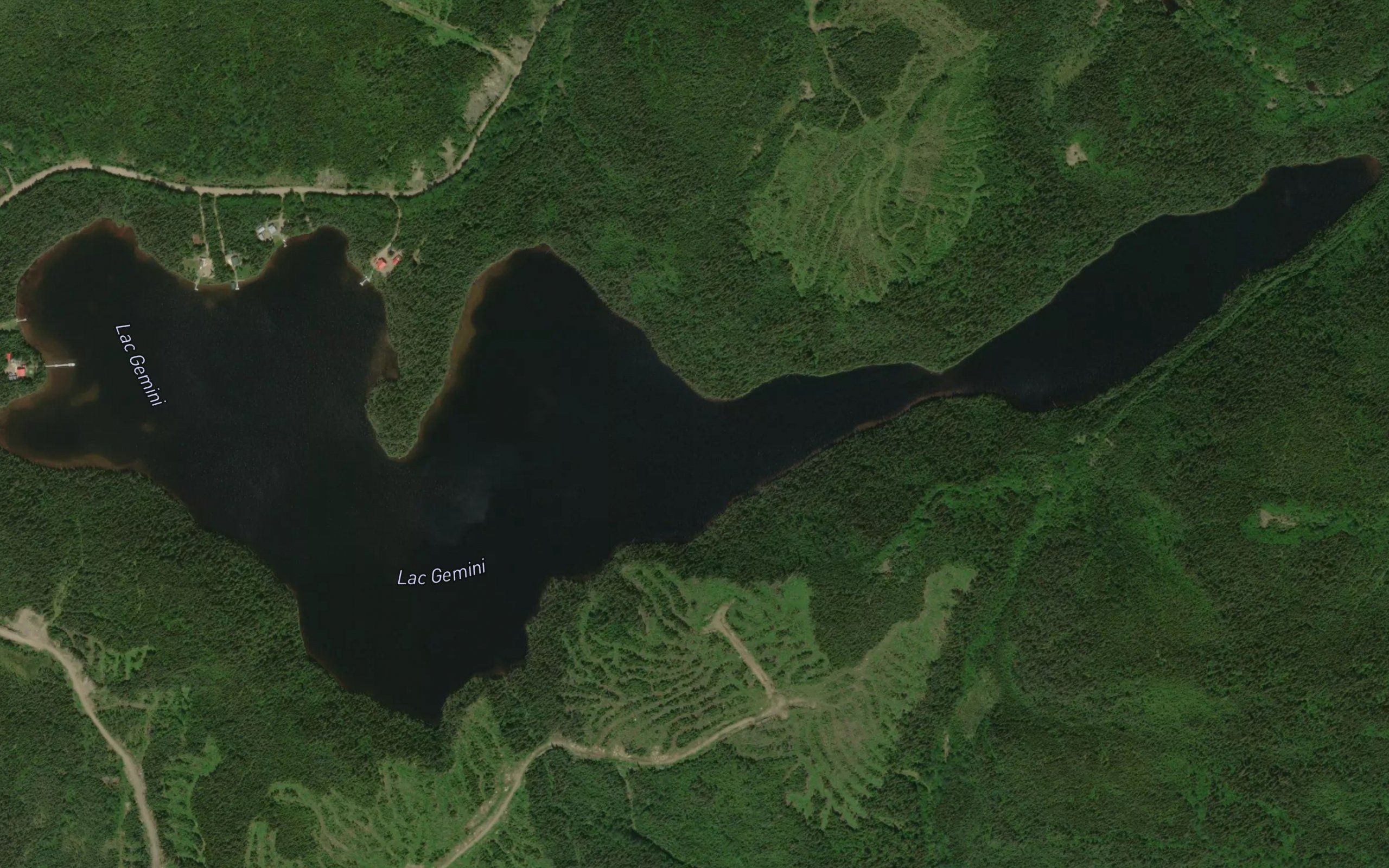 Lac Gemini