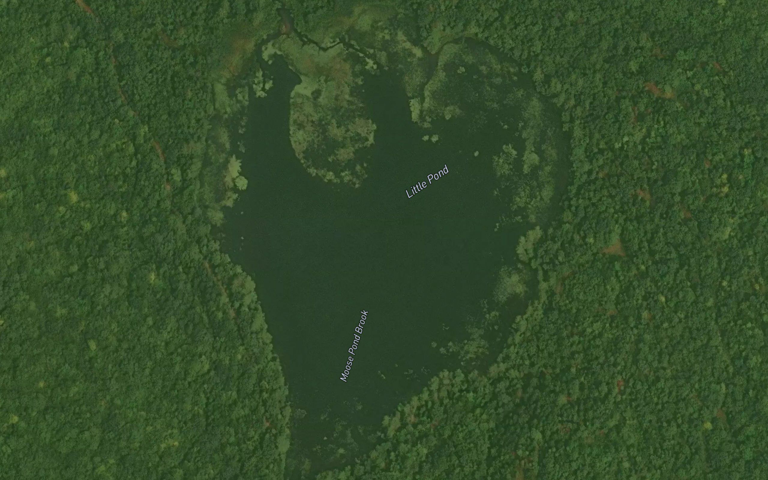 Little Pond