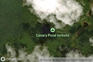 Canary Pond