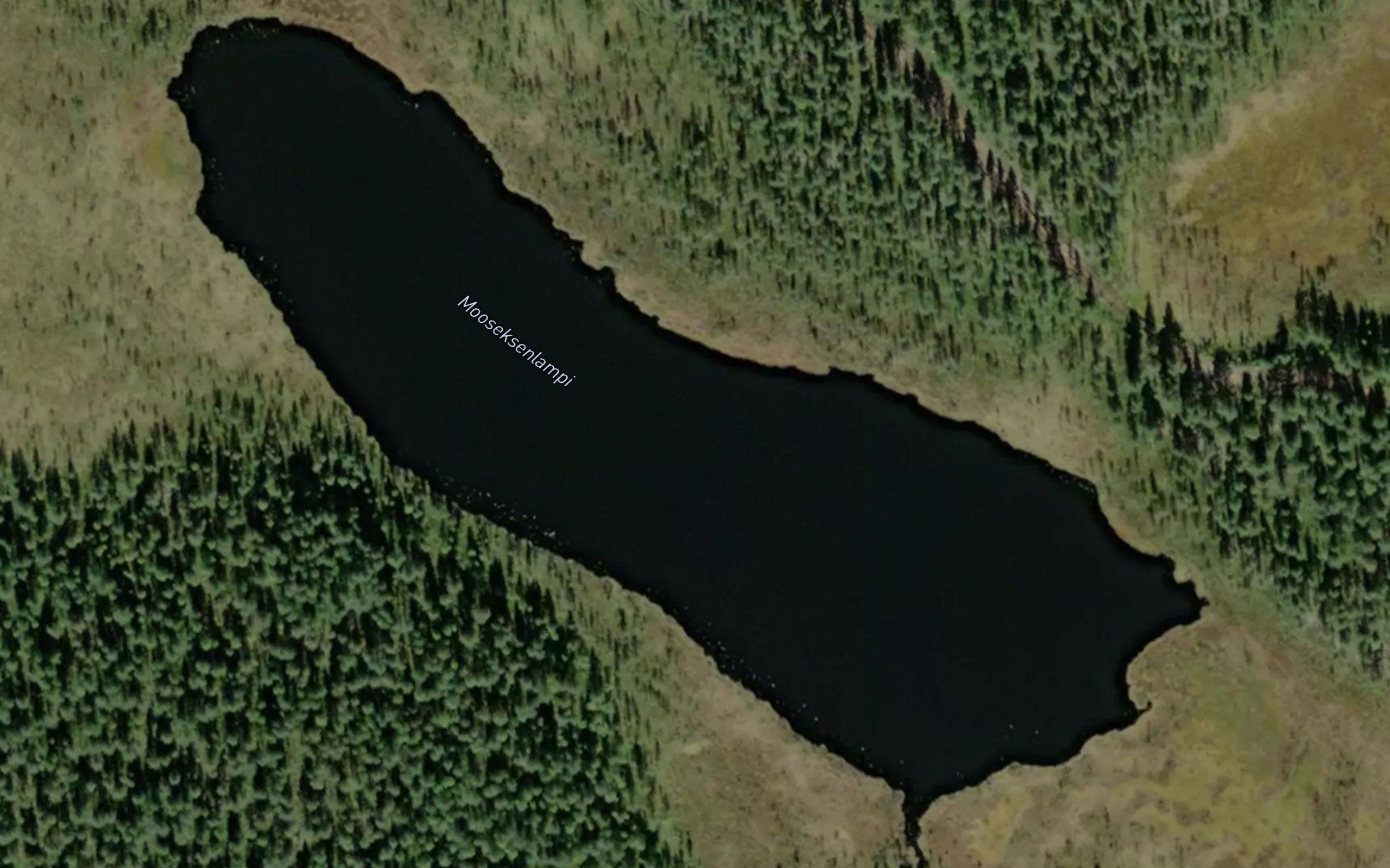 Mooseksenlampi