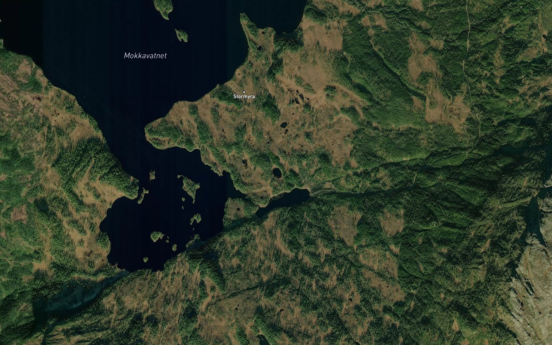 Satellite map of the Hauktjonna