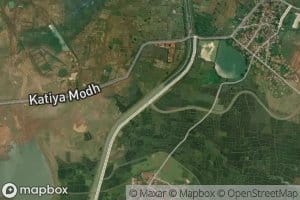 Distributary Number Sixteen