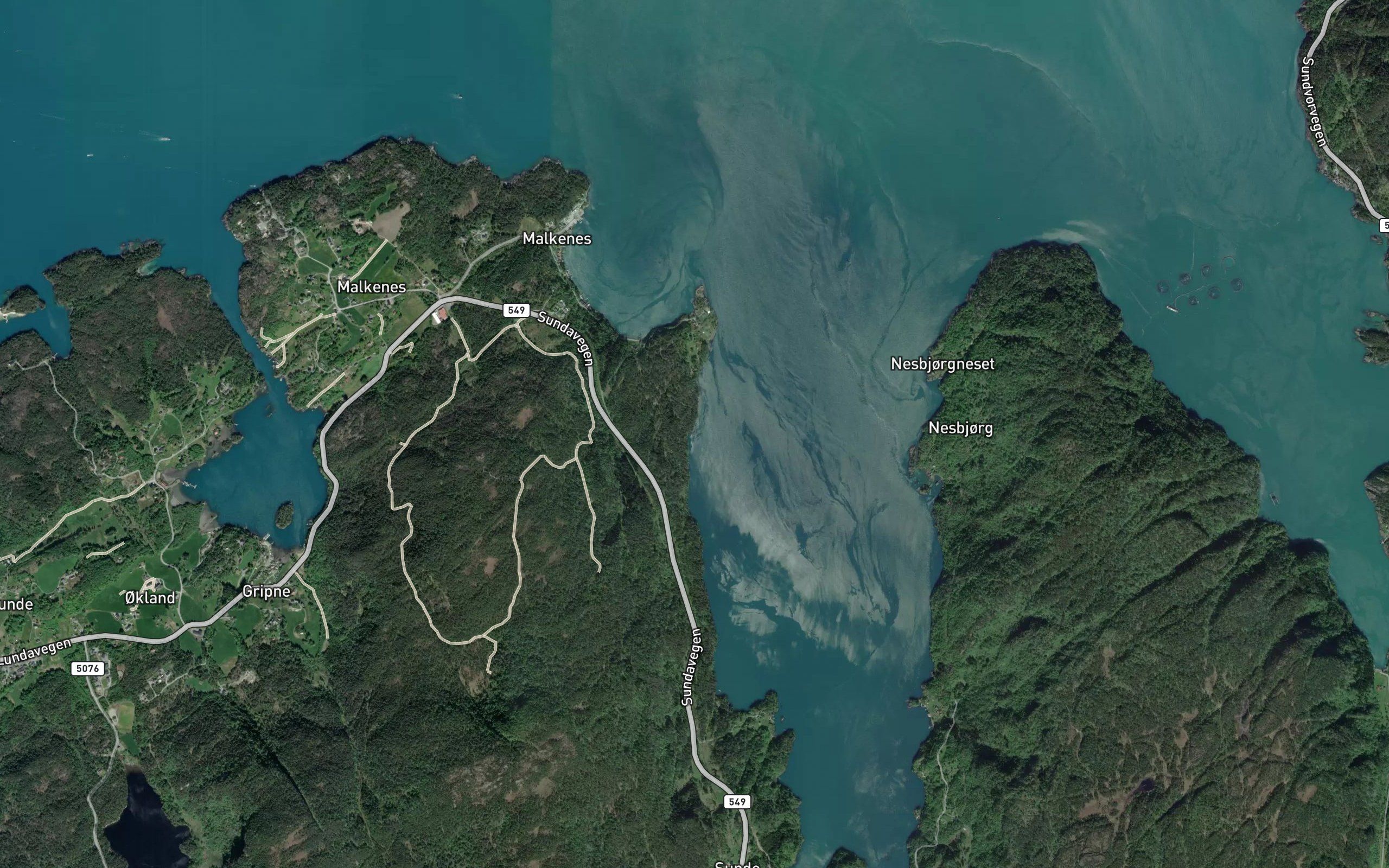 Haukavika