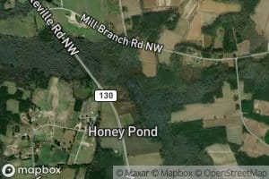 South Prong Wet Ash Swamp