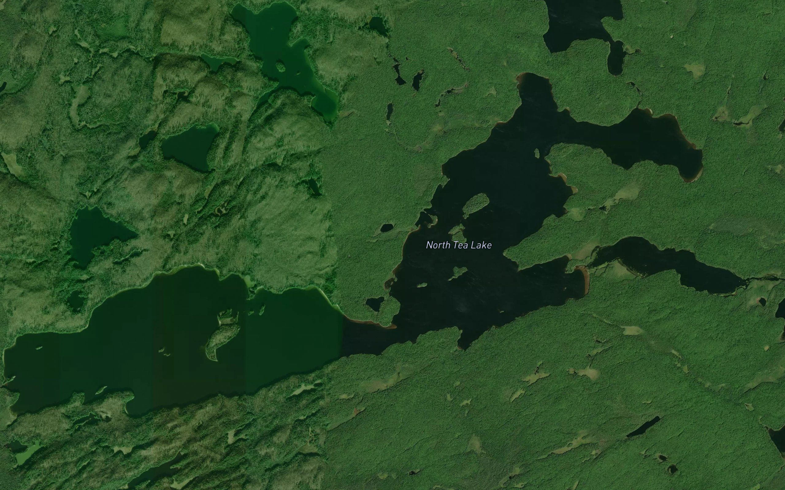 North Tea Lake