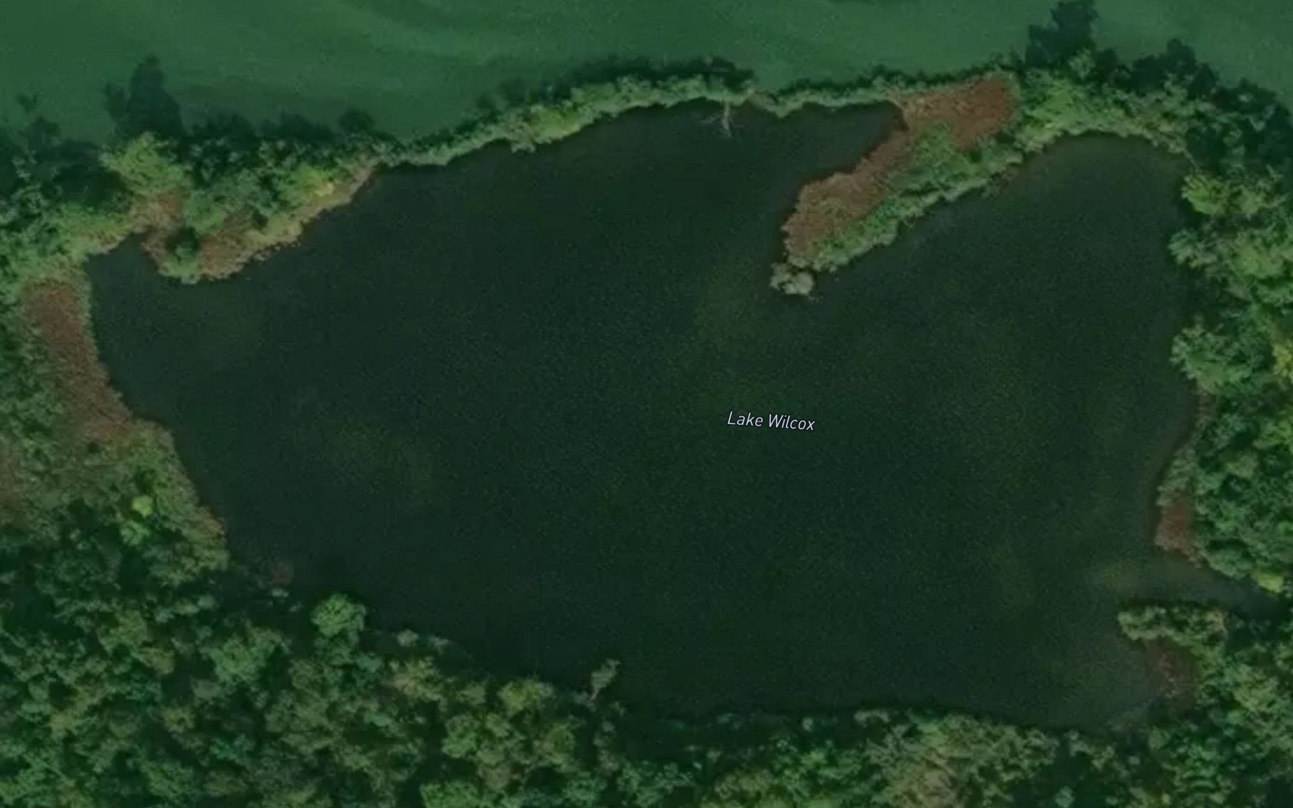 Lake Wilcox